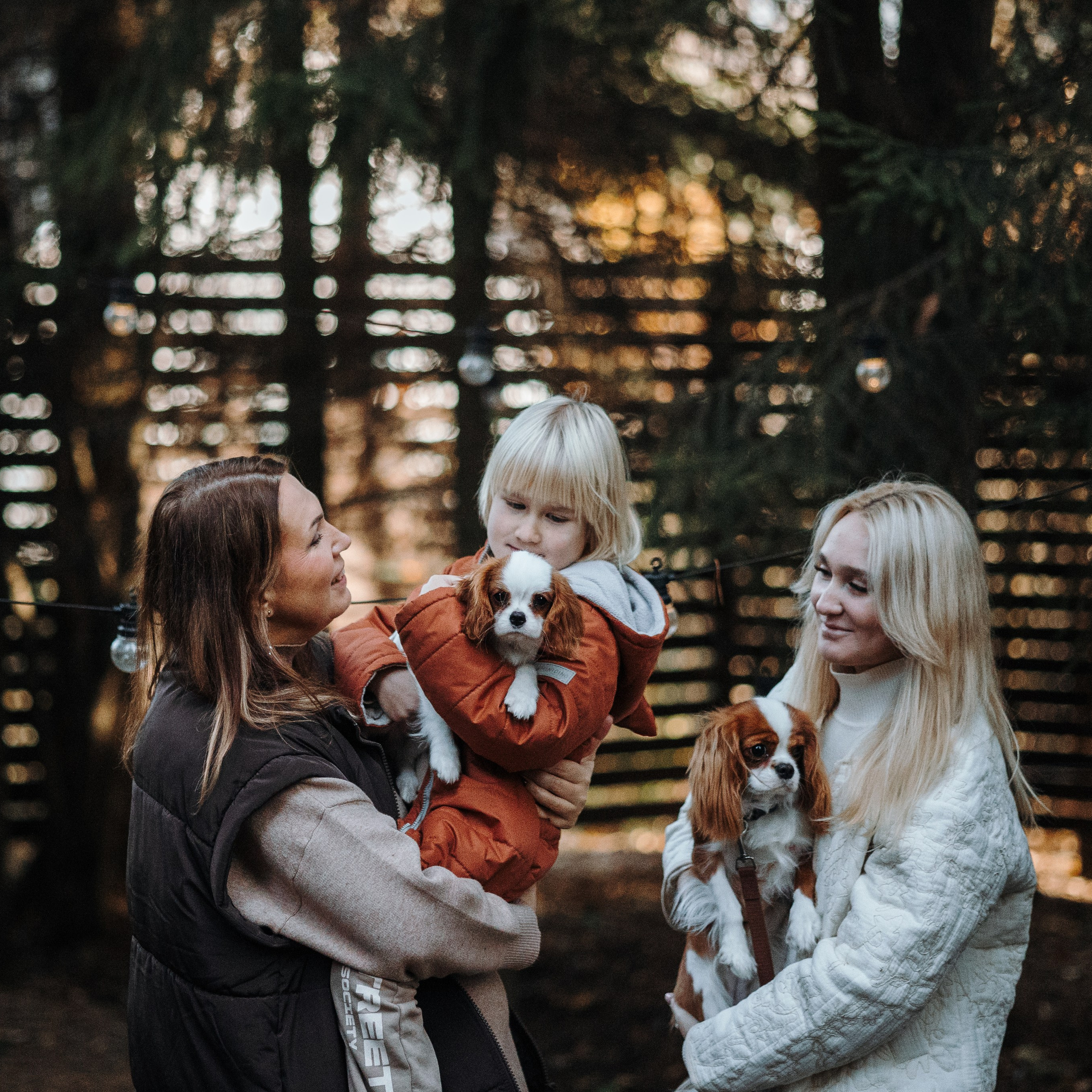 Семейная история