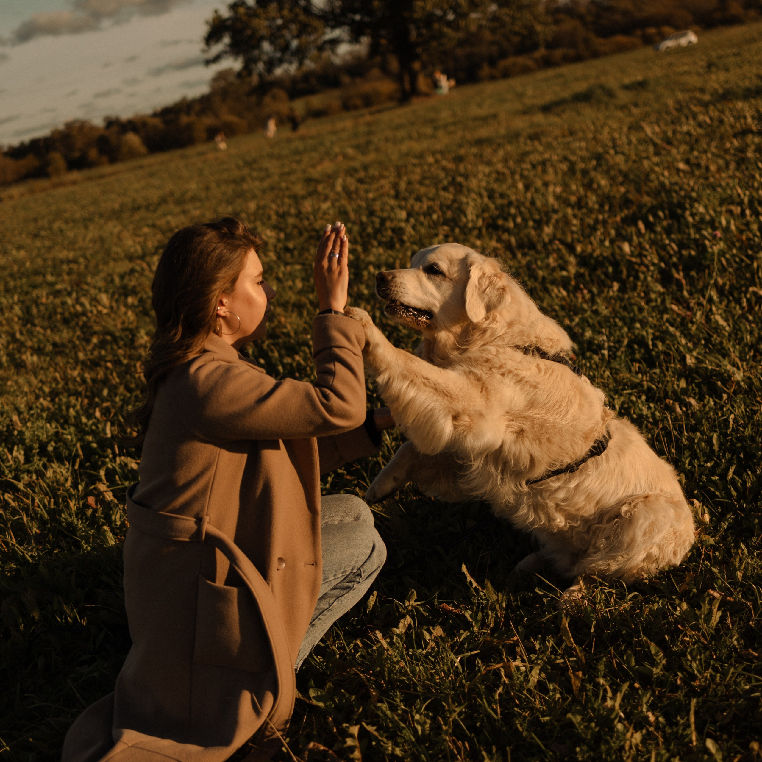 Отзывы. Фотограф — Анималист | Санкт-Петербург