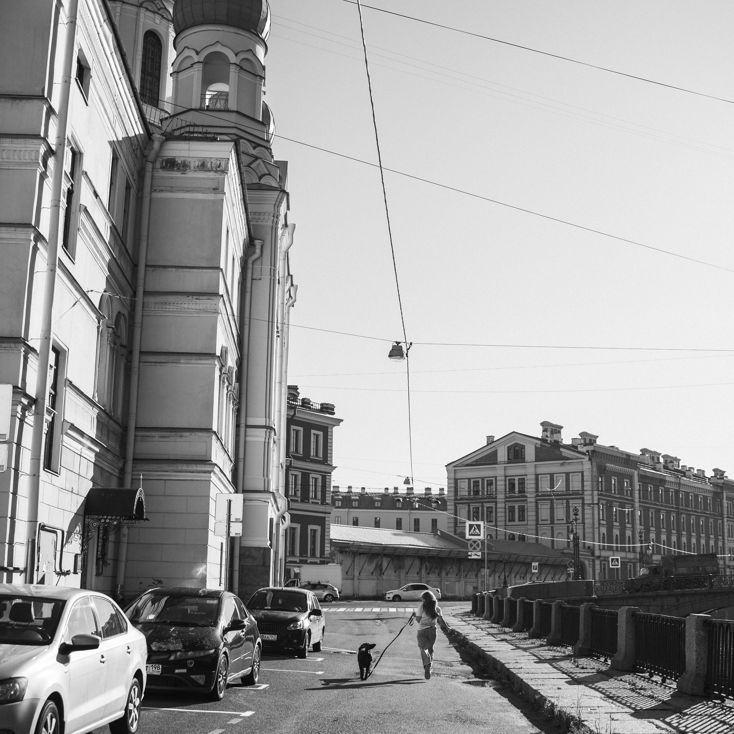 Отзывы. Фотограф — Анималист | Санкт-Петербург