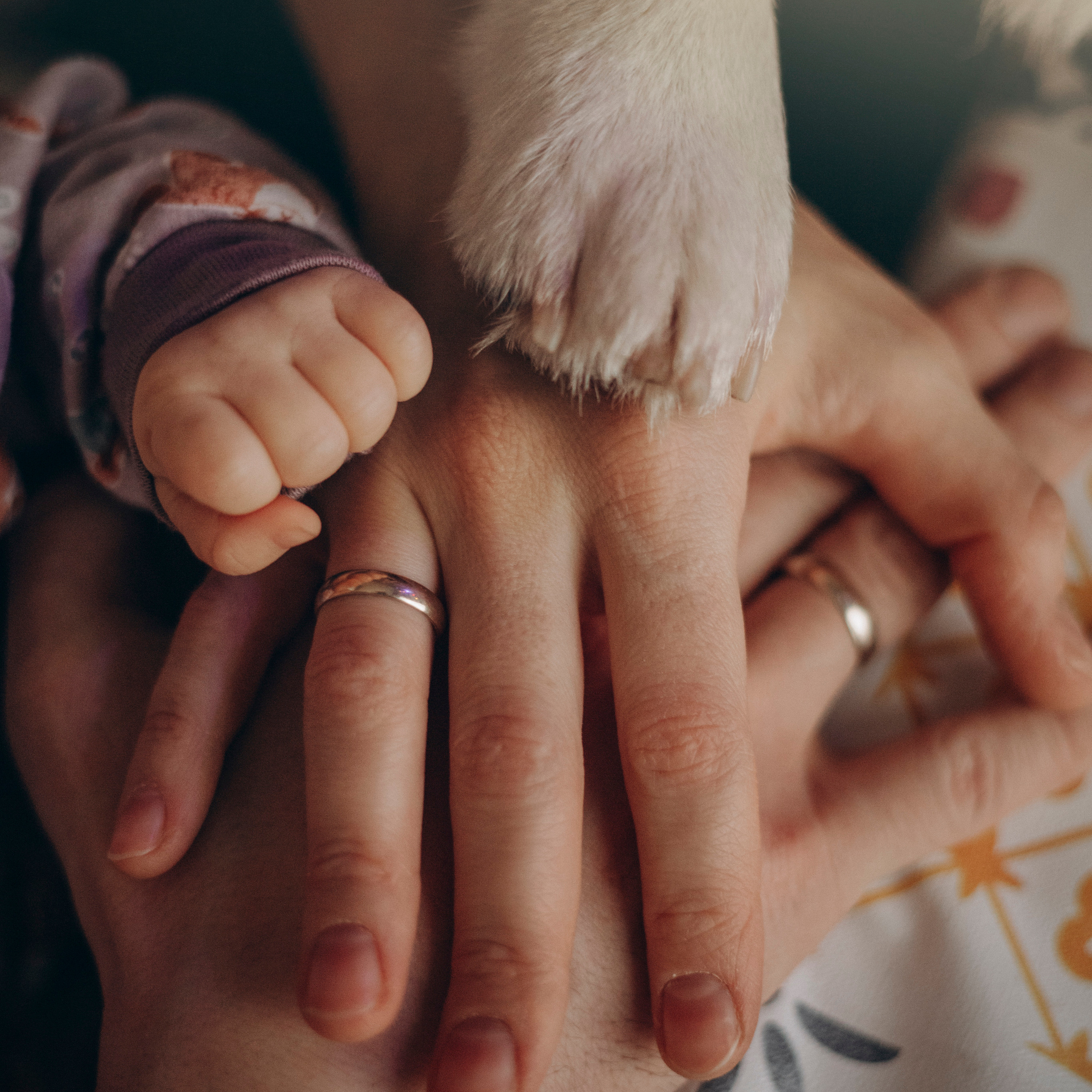 Отзывы. Фотограф — Анималист | Санкт-Петербург