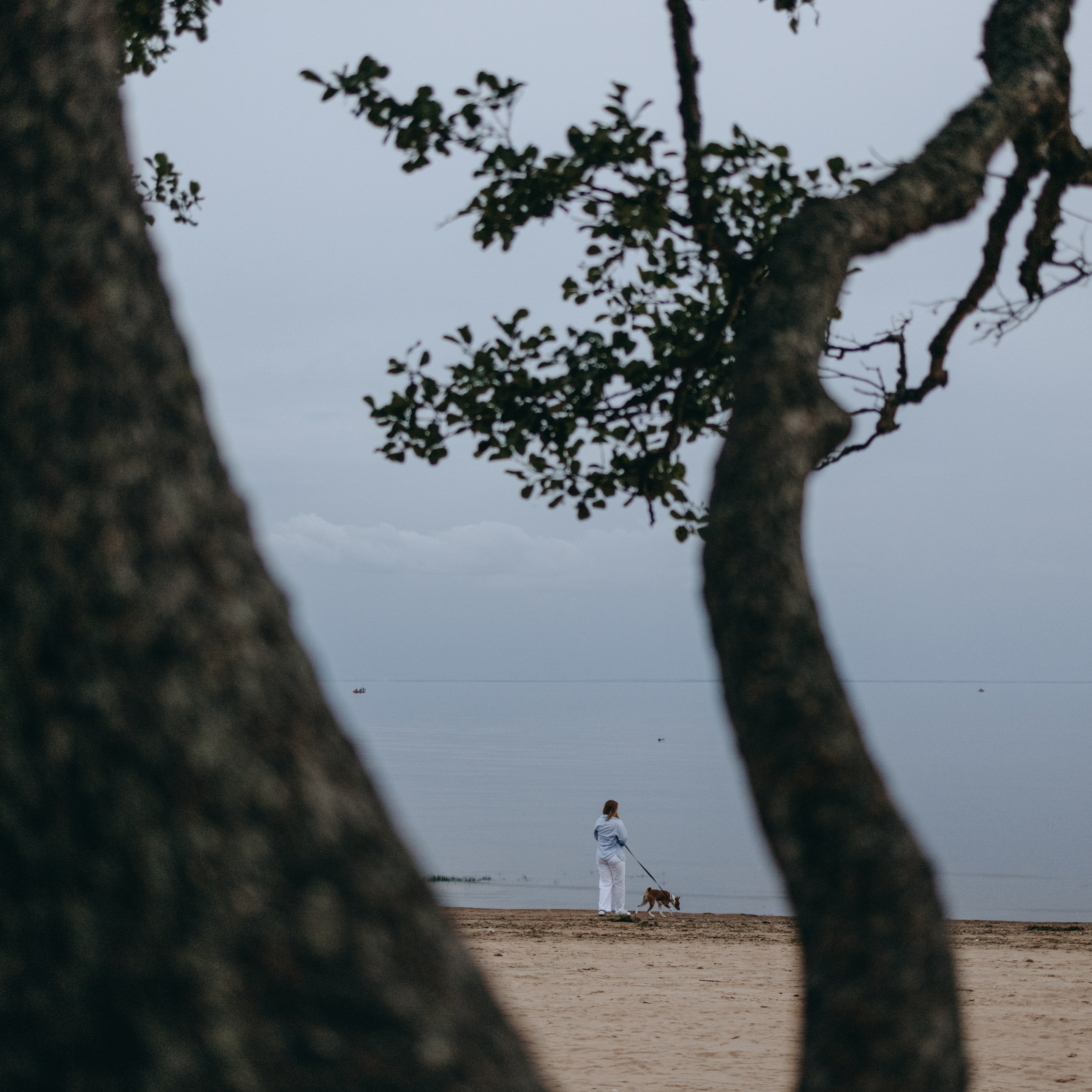 Даша и Арчи