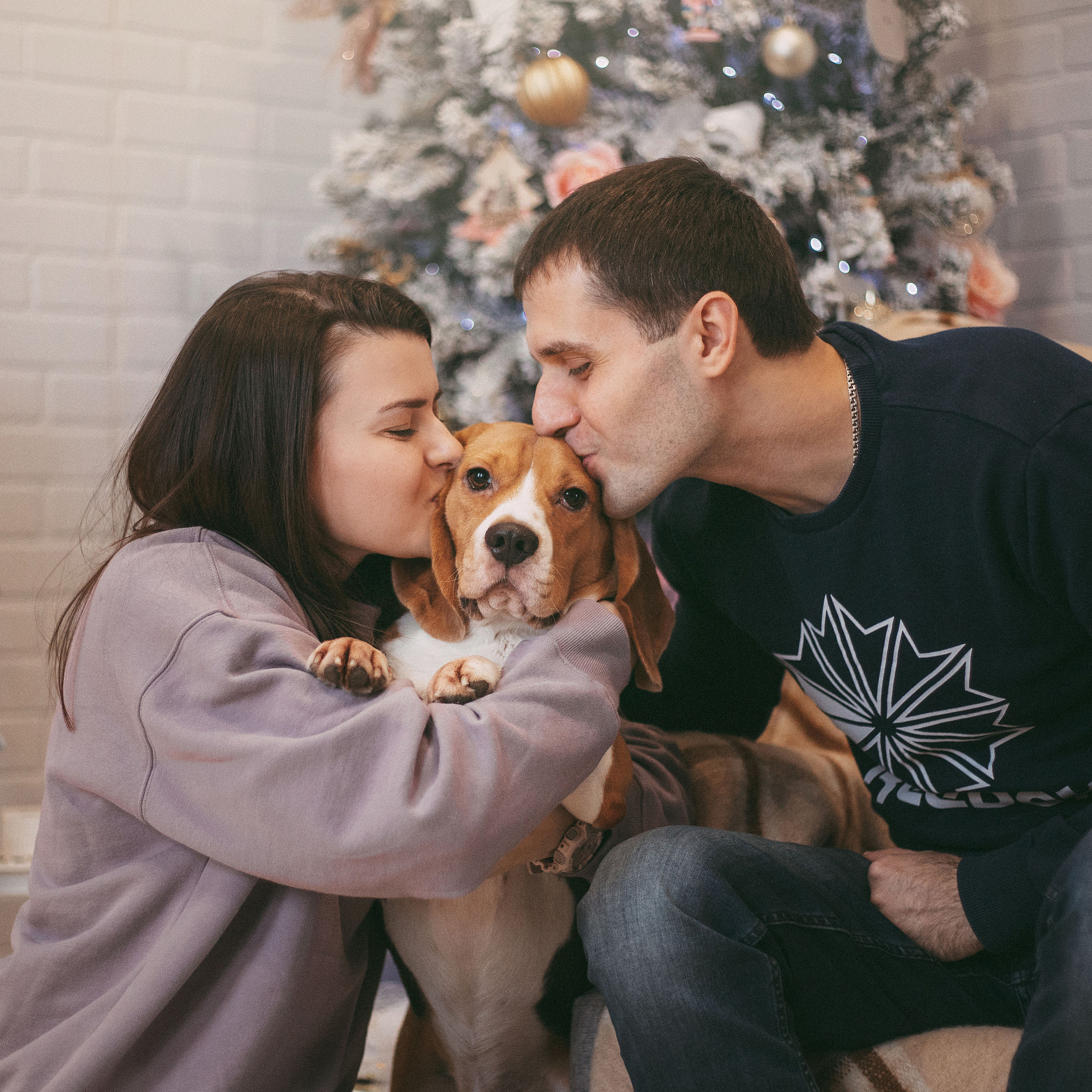 Отзывы. Фотограф — Анималист | Санкт-Петербург