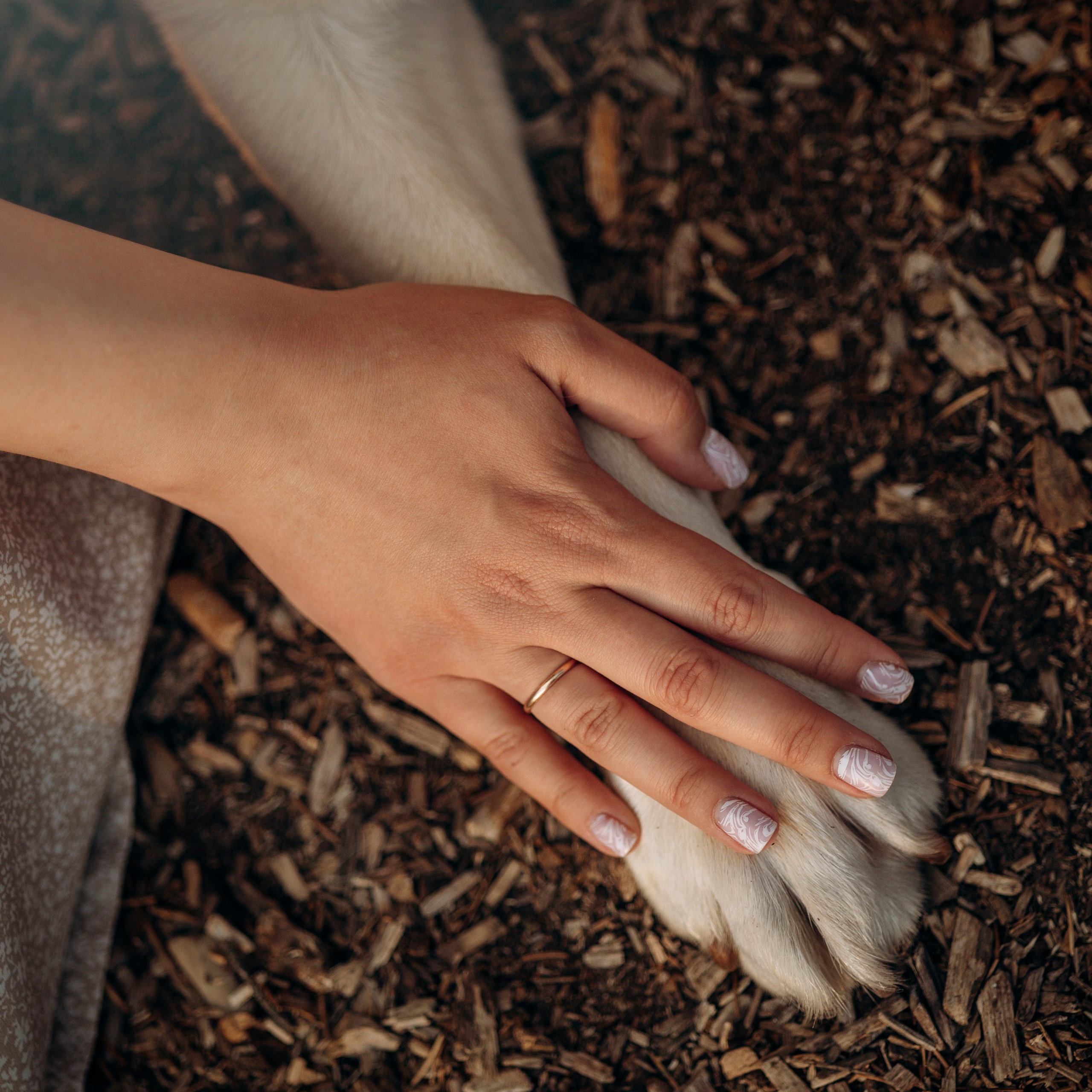 Шани и ее семья