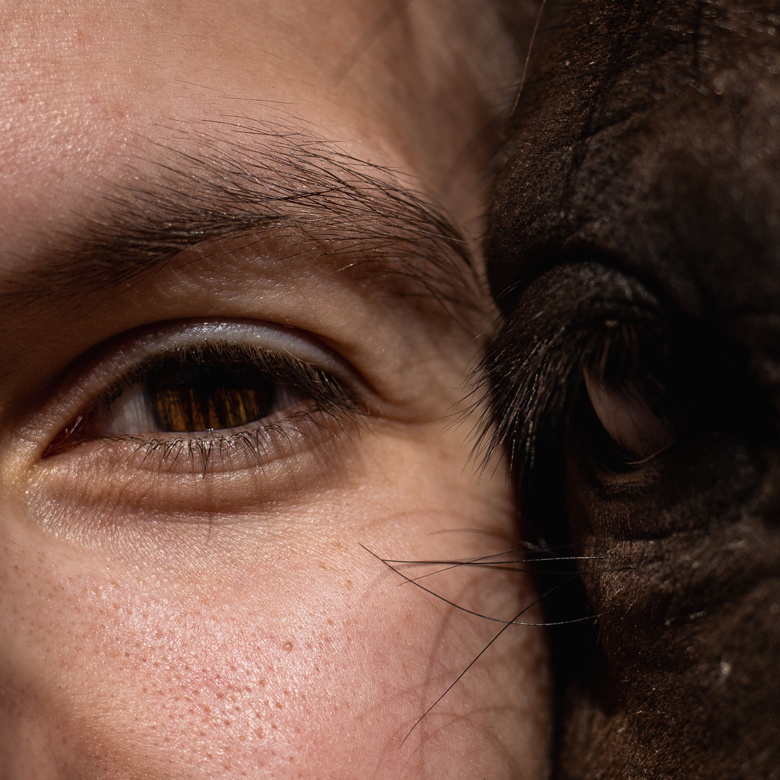 Отзывы. Фотограф — Анималист | Санкт-Петербург