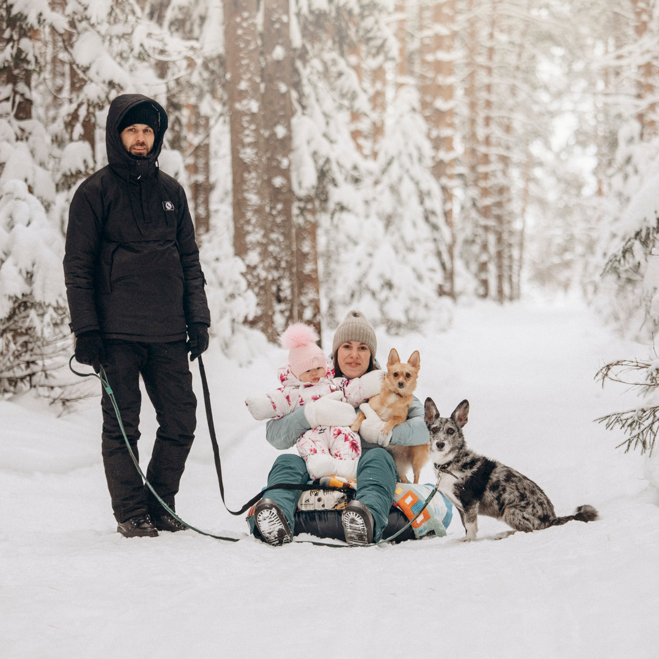 Отзывы. Фотограф — Анималист | Санкт-Петербург