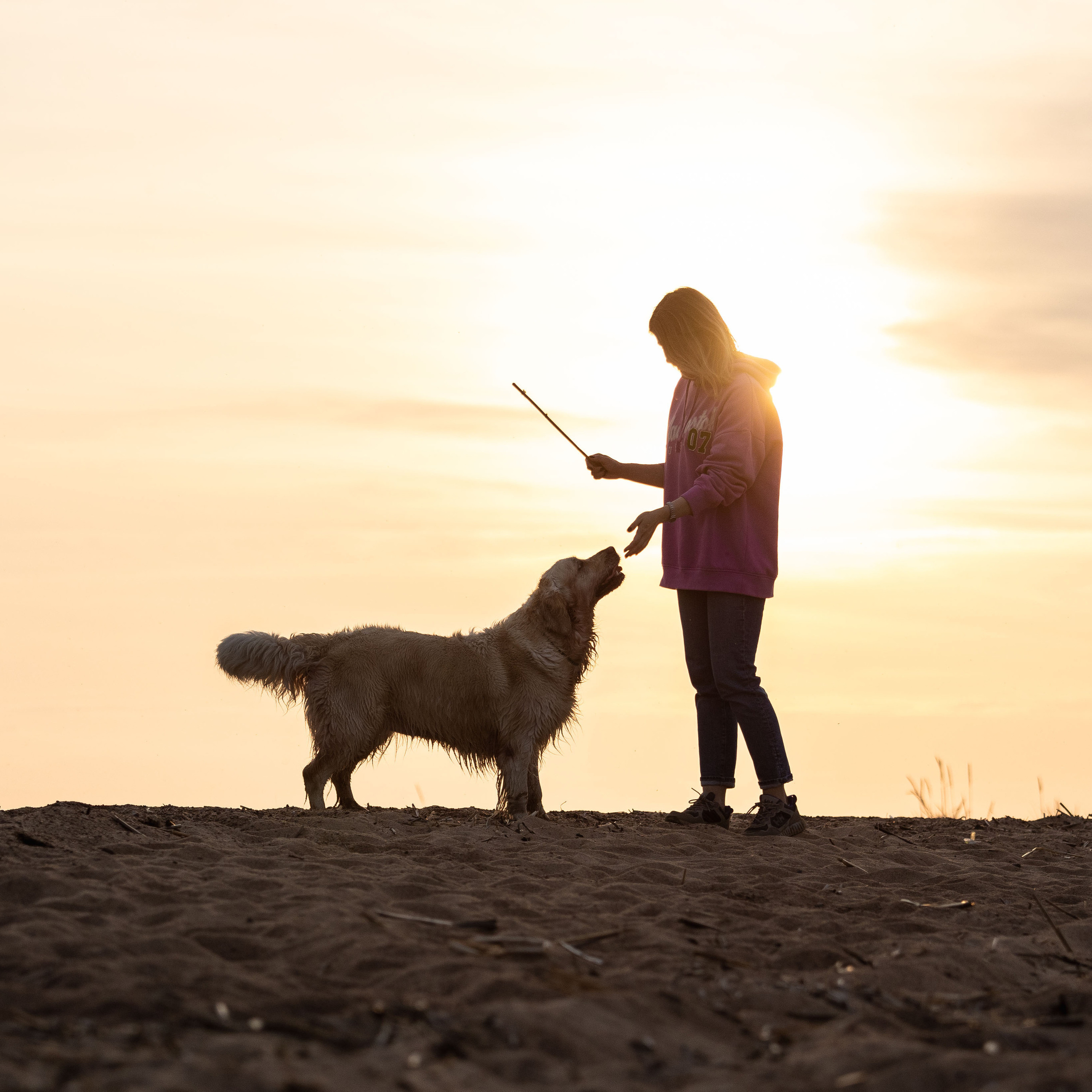 Отзывы. Фотограф — Анималист | Санкт-Петербург
