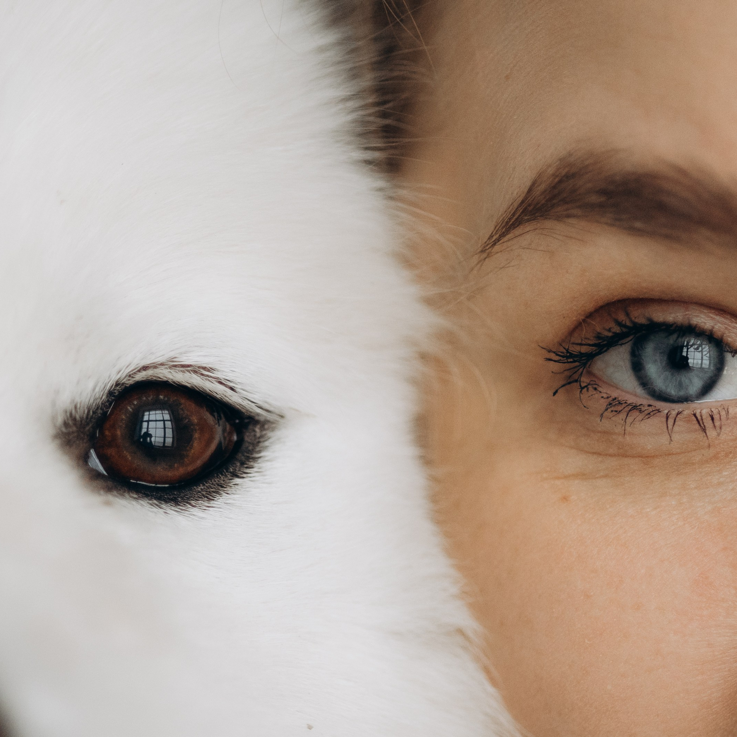 Настя и Кристофер