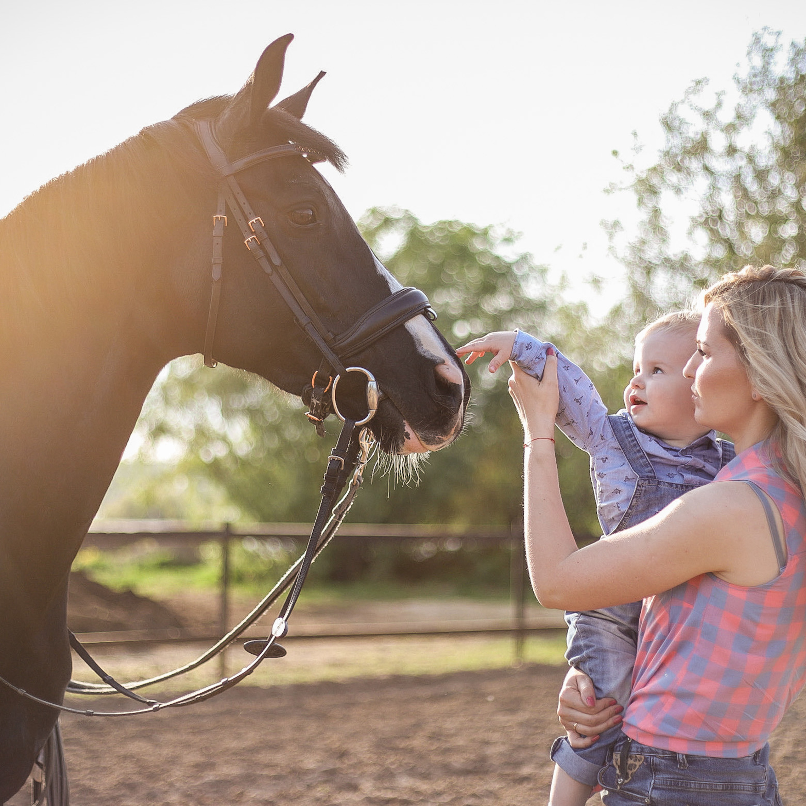 Отзывы. Фотограф — Анималист | Санкт-Петербург