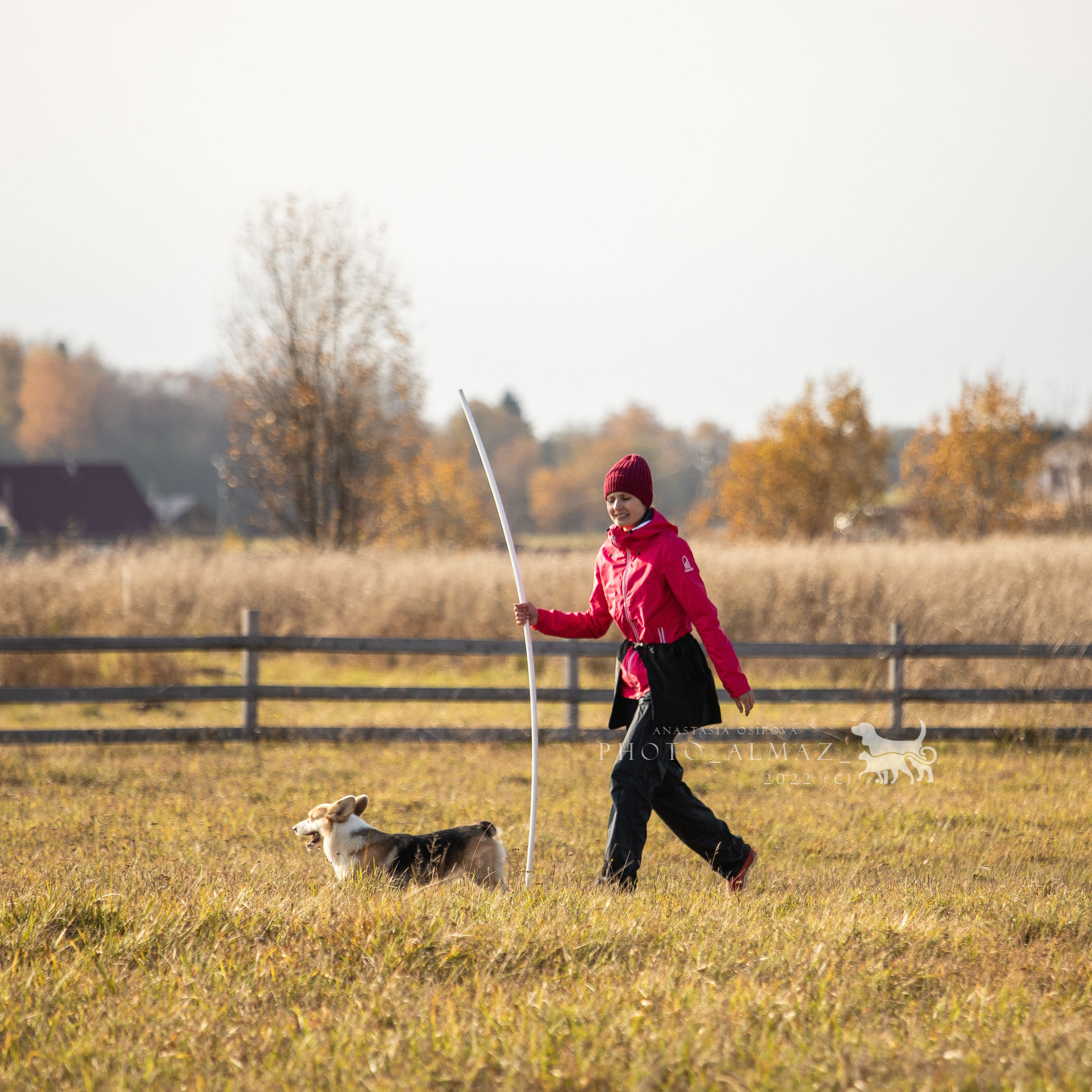 Отзывы. Фотограф — Анималист | Санкт-Петербург