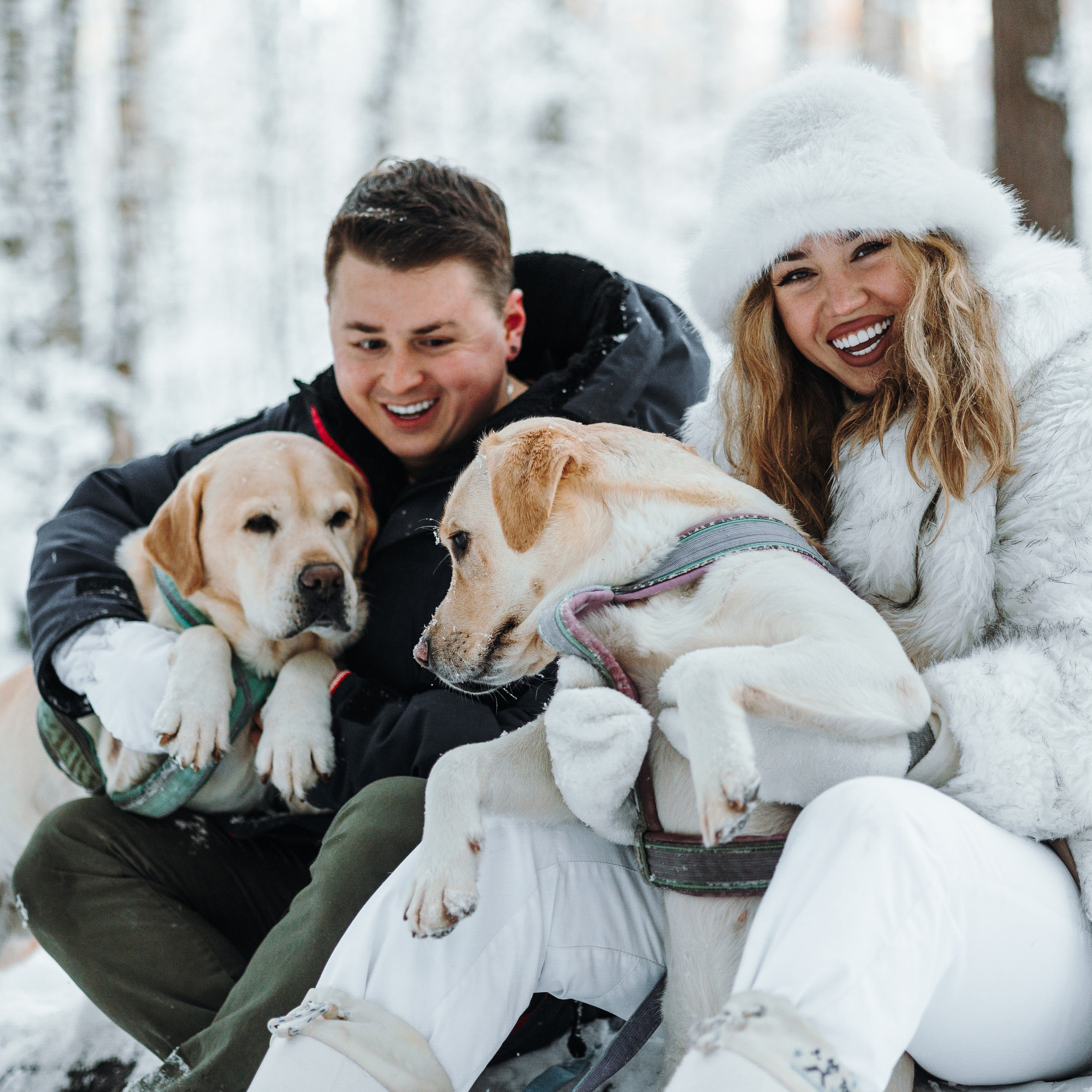 Ребята и их хвостатая семейка