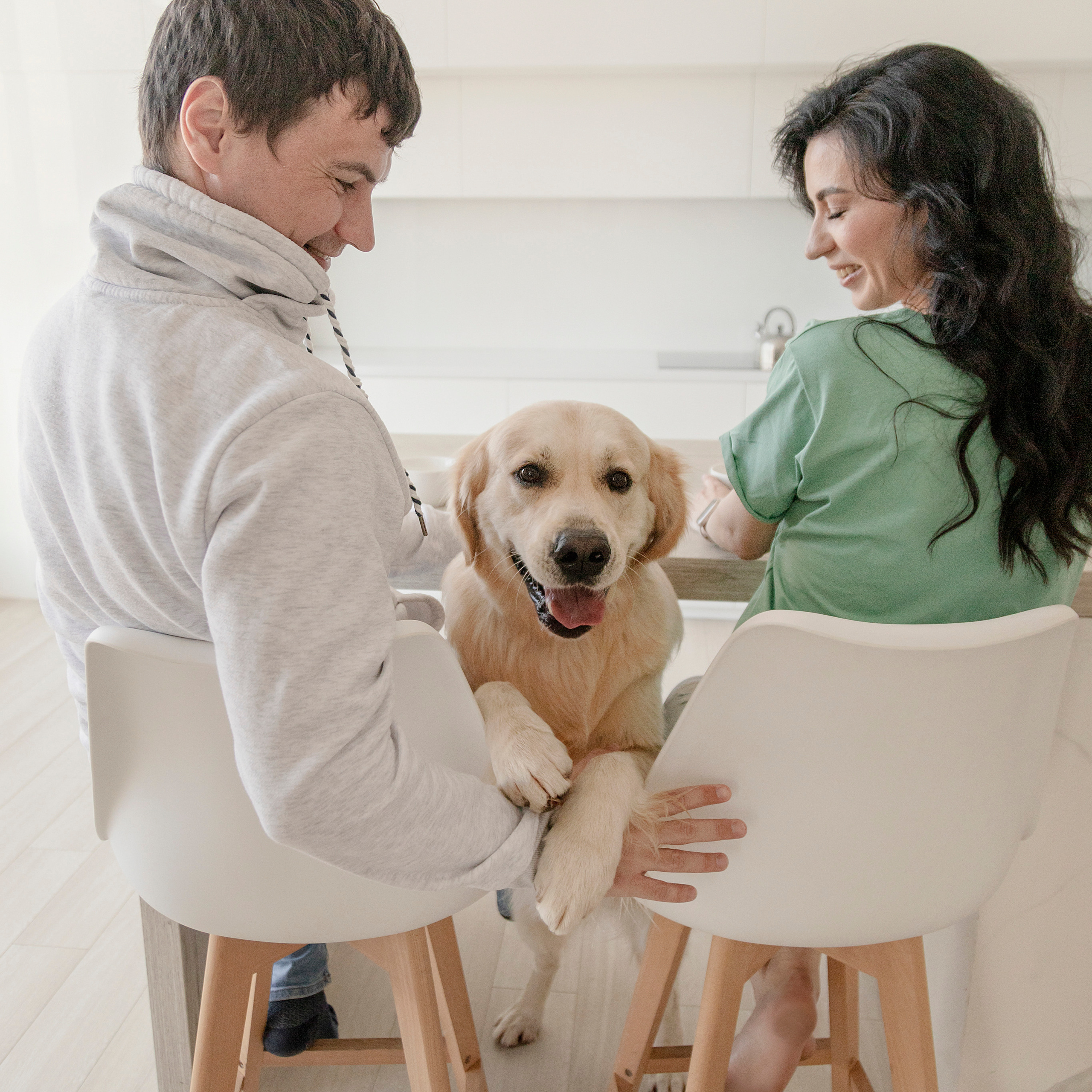 Отзывы. Фотограф — Анималист | Санкт-Петербург