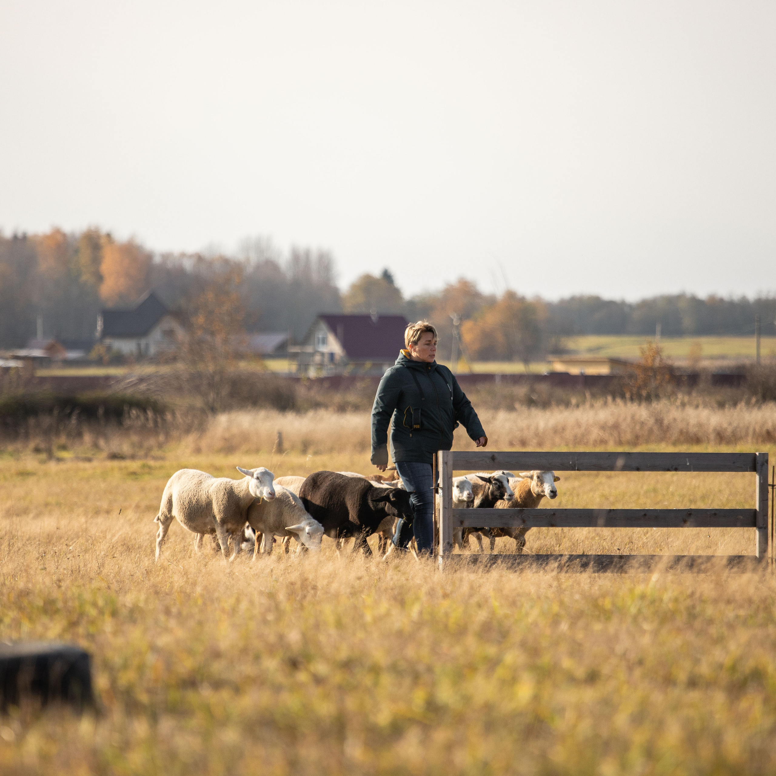 Отзывы. Фотограф — Анималист | Санкт-Петербург