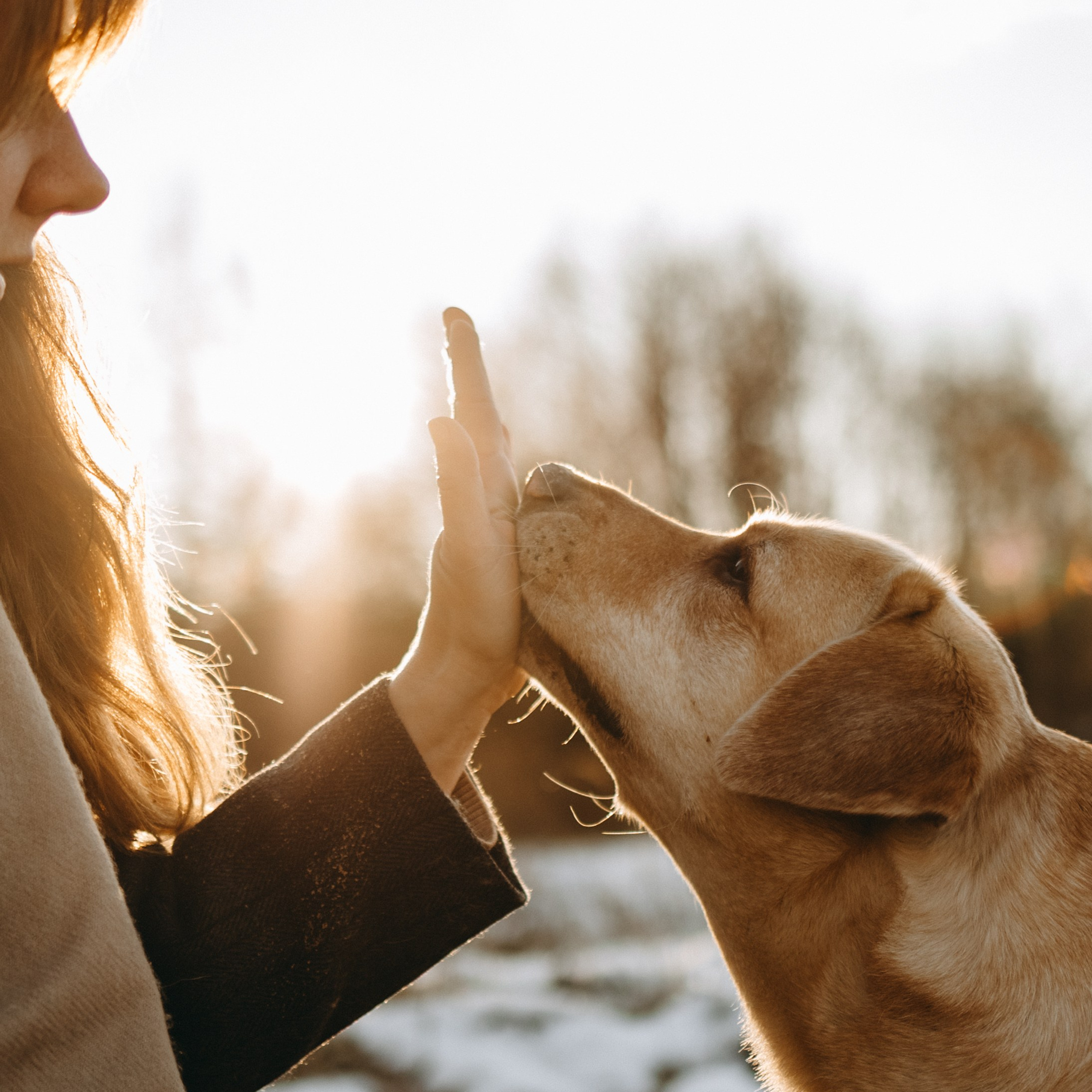 Ирина и Бася