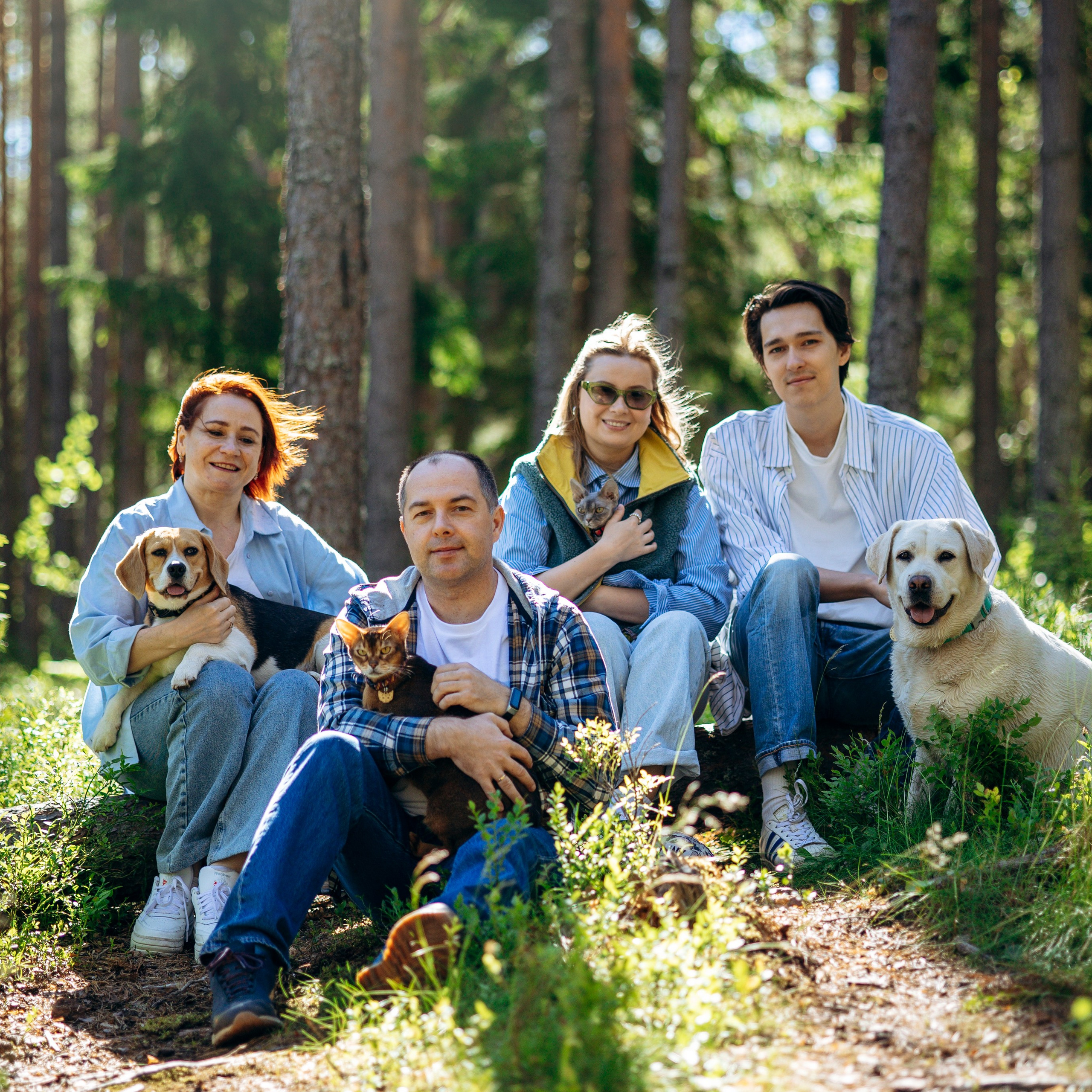 Котофеи и их семья