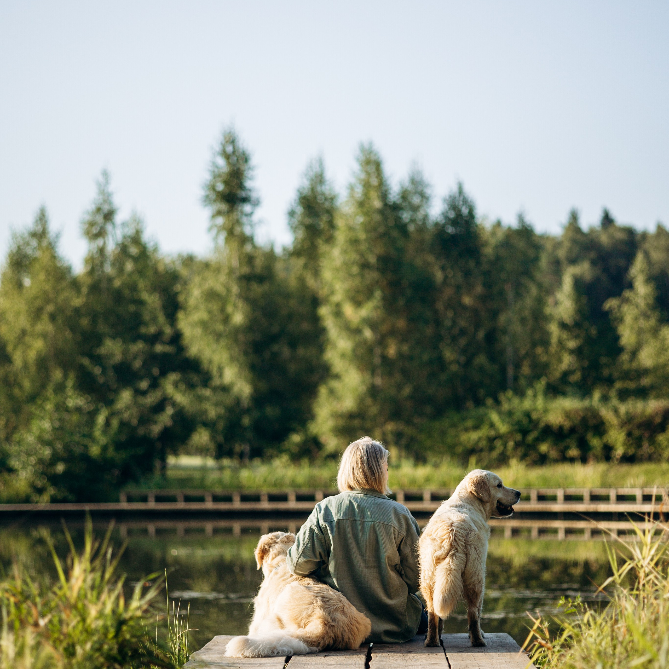 Ирина и ее золотинки
