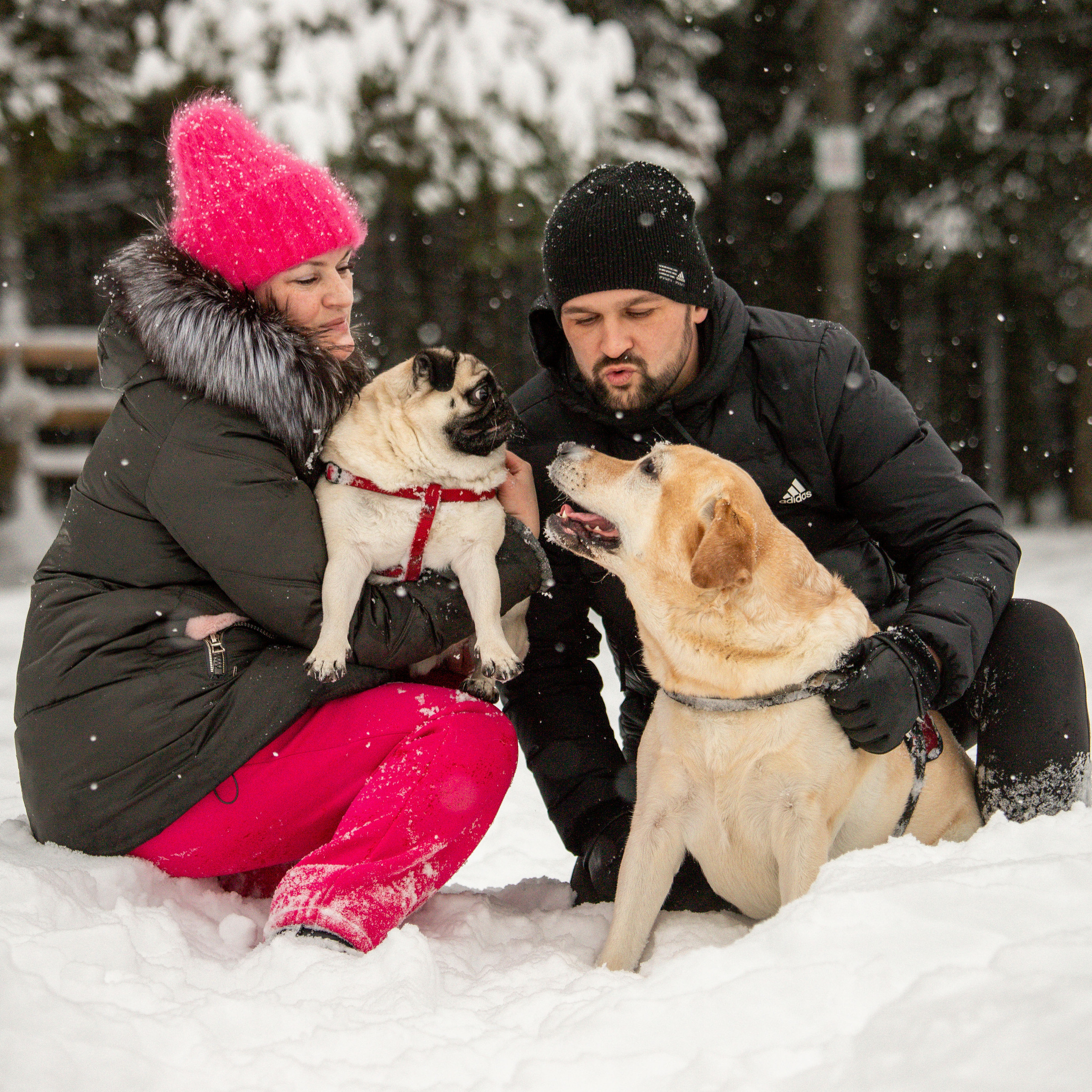 Отзывы. Фотограф — Анималист | Санкт-Петербург