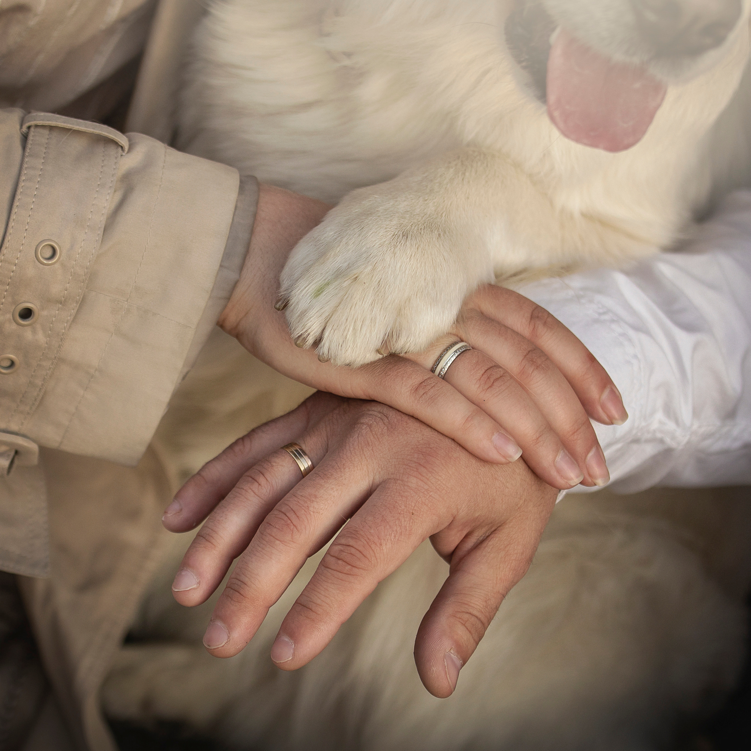 Молли и ее семья