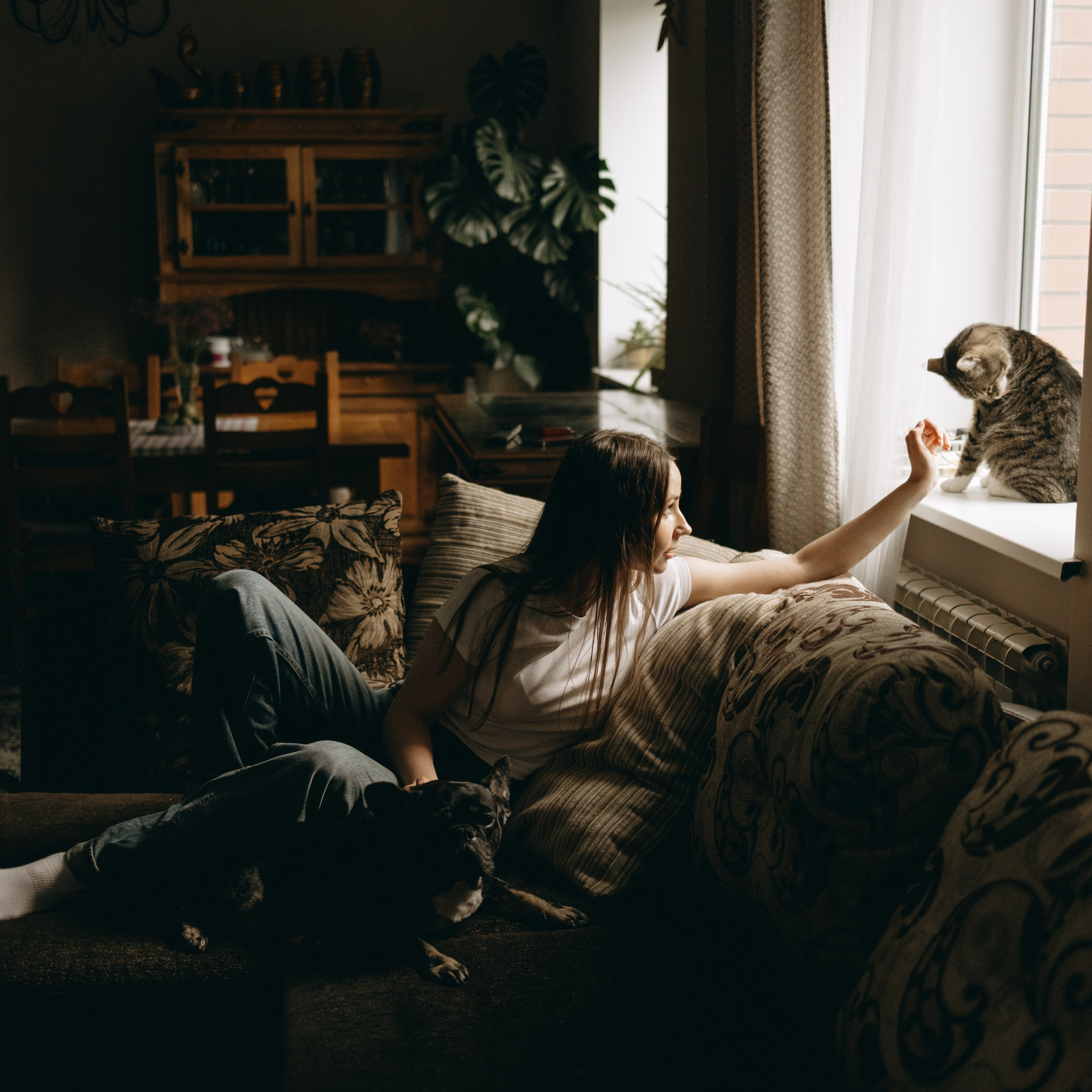 Софа и ее хвостики