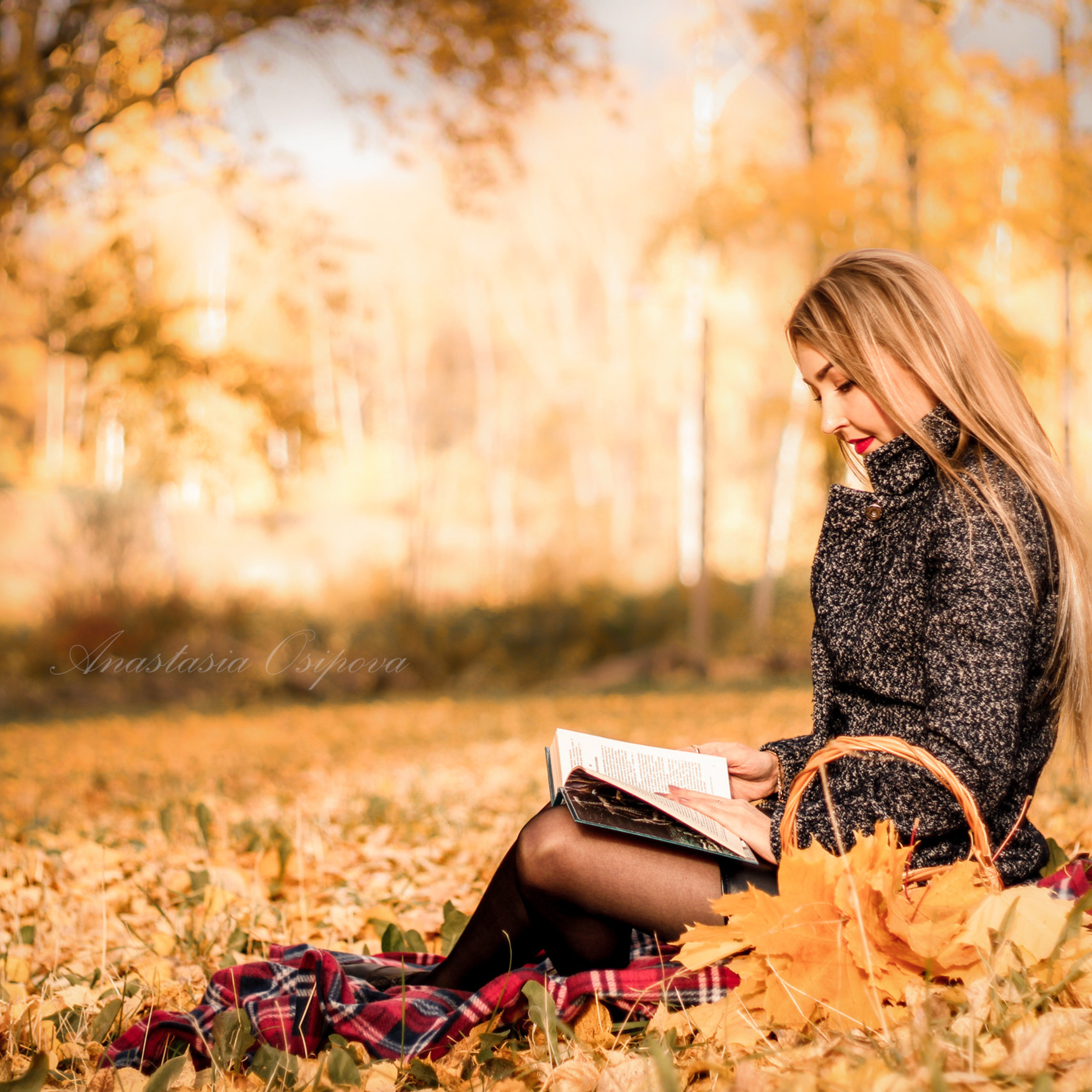 Отзывы. Фотограф — Анималист | Санкт-Петербург