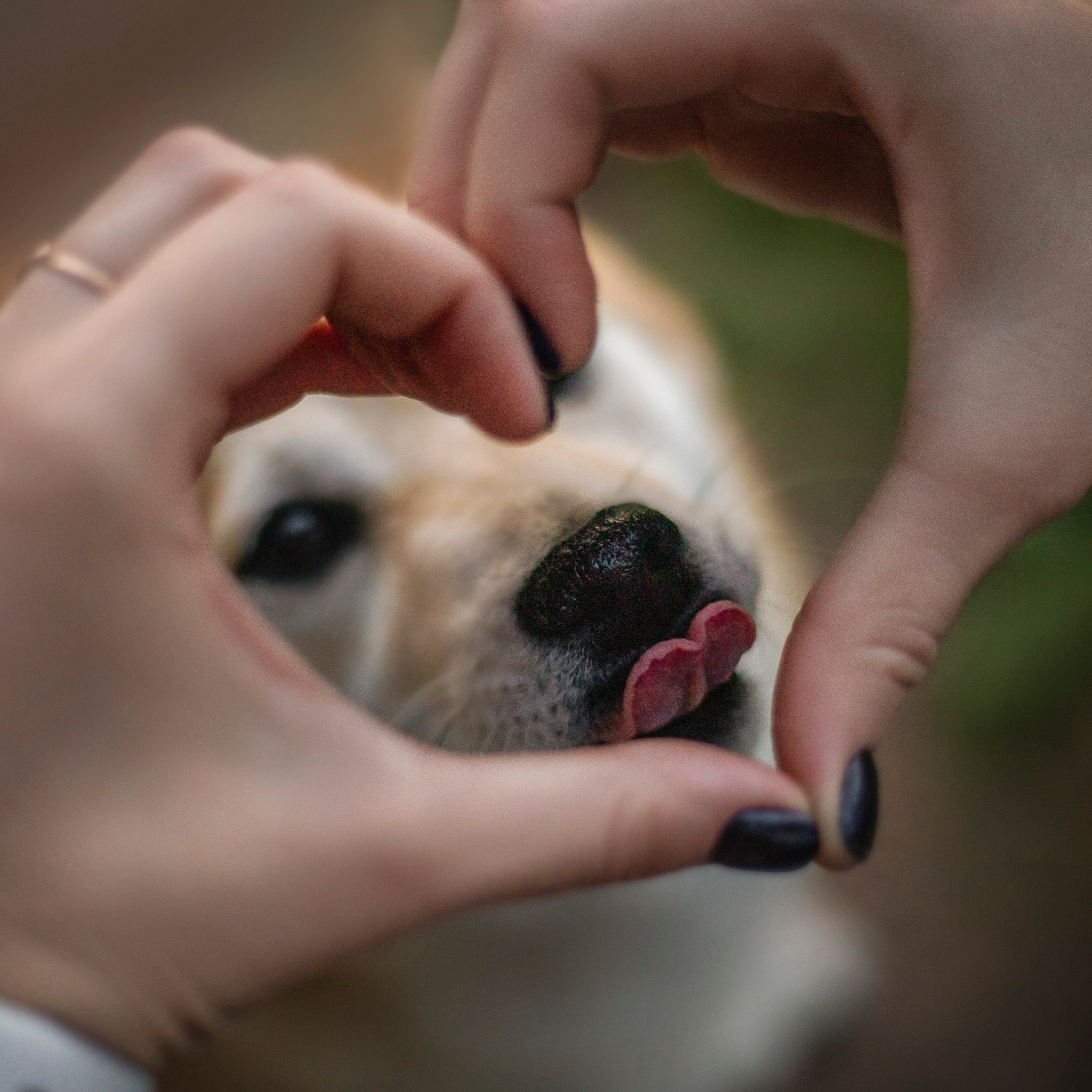 Саша и Айка