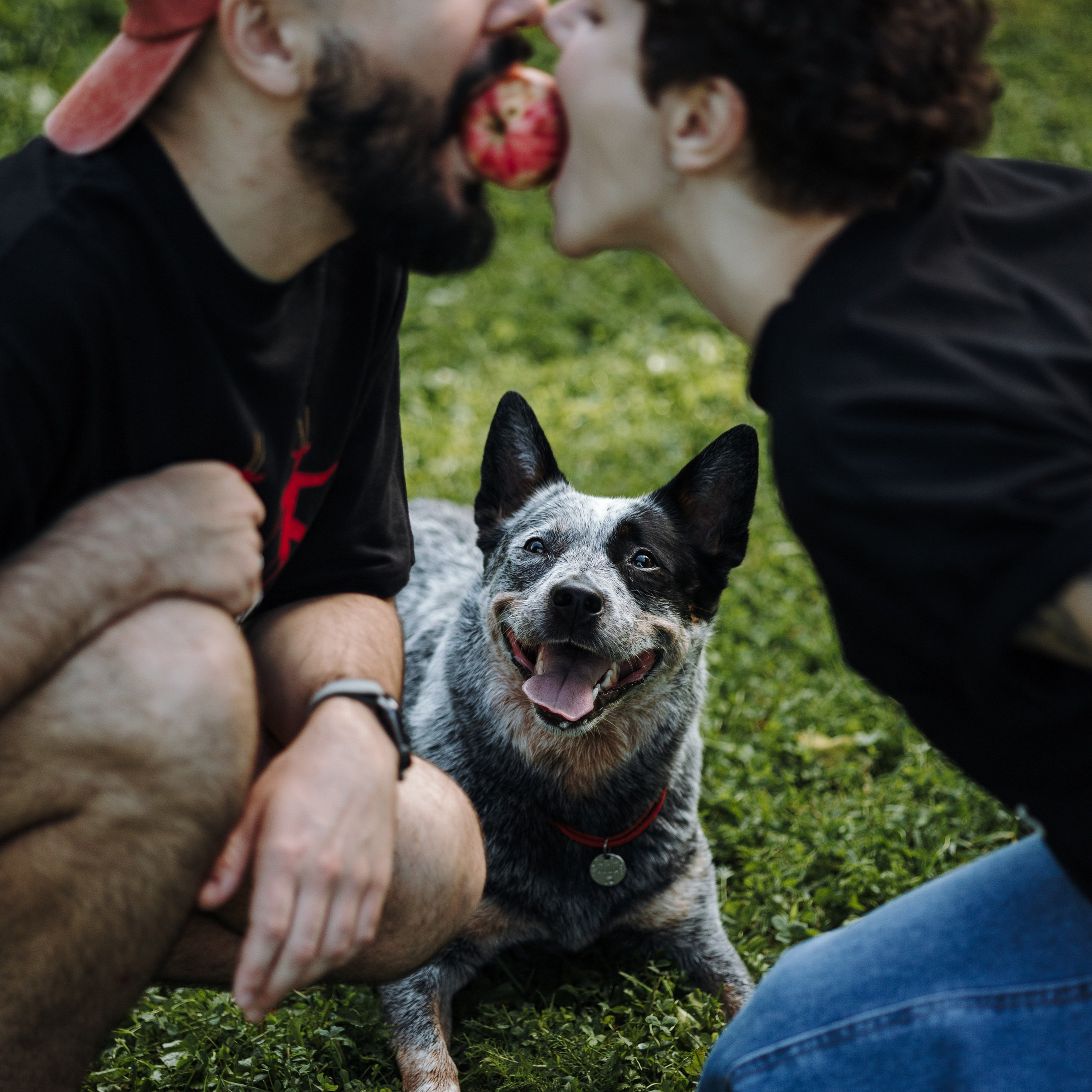 Кода и ее семья