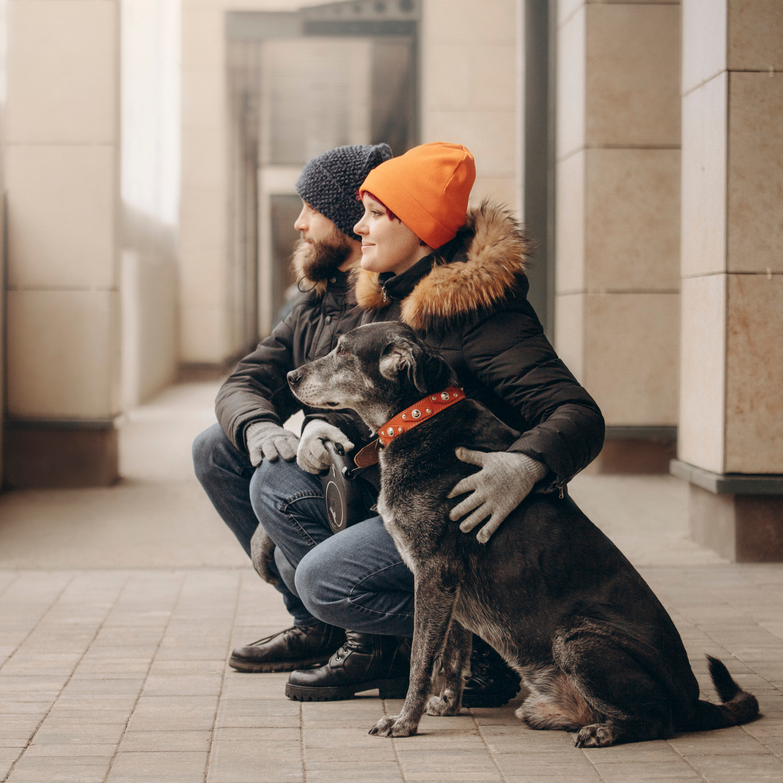 Ангус и его семья