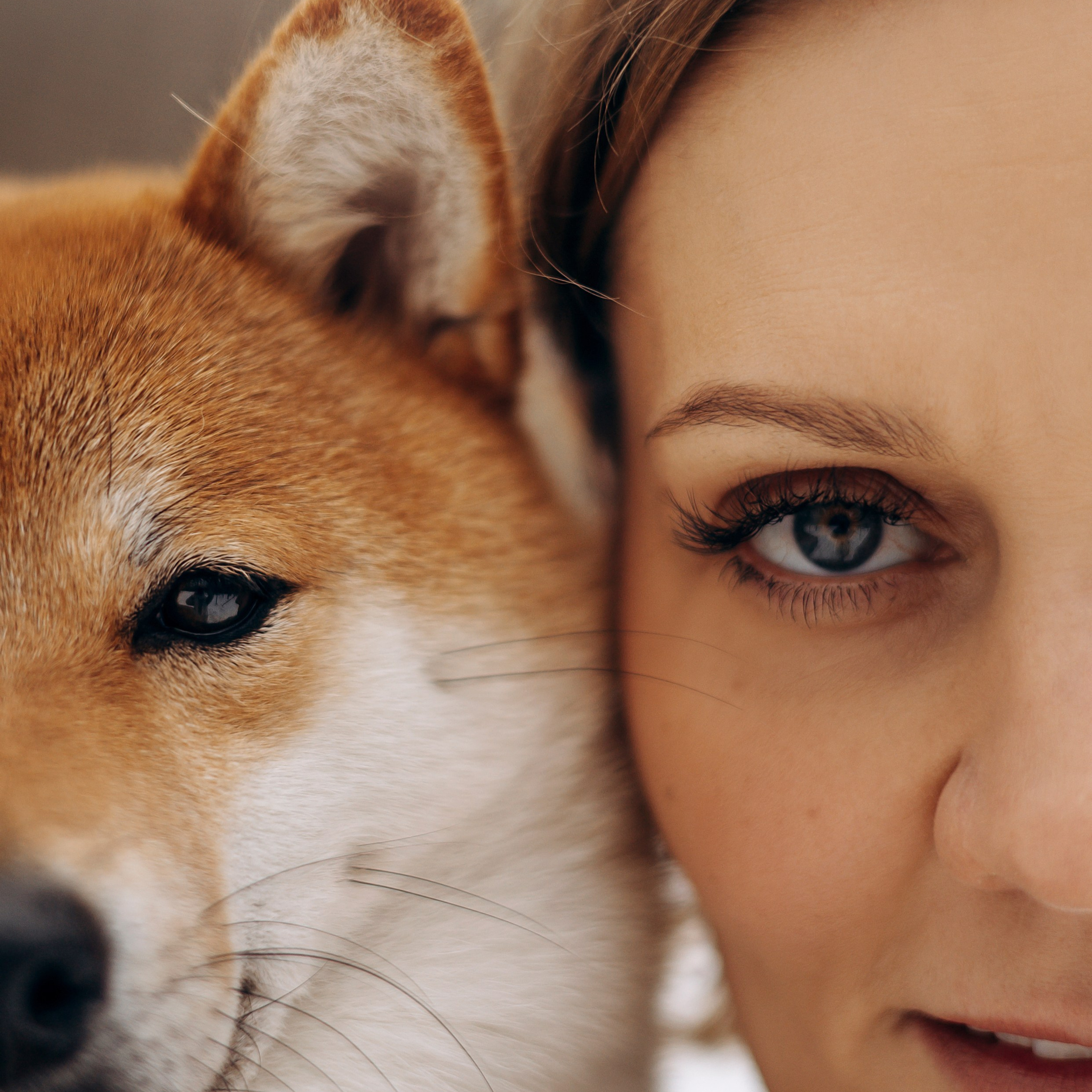 Отзывы. Фотограф — Анималист | Санкт-Петербург