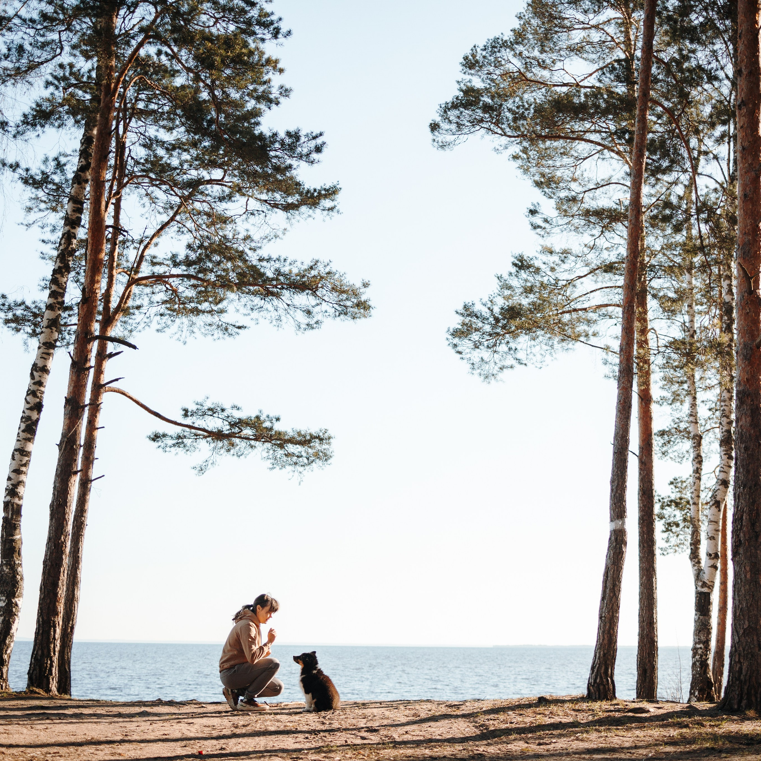 Ира и Шмель