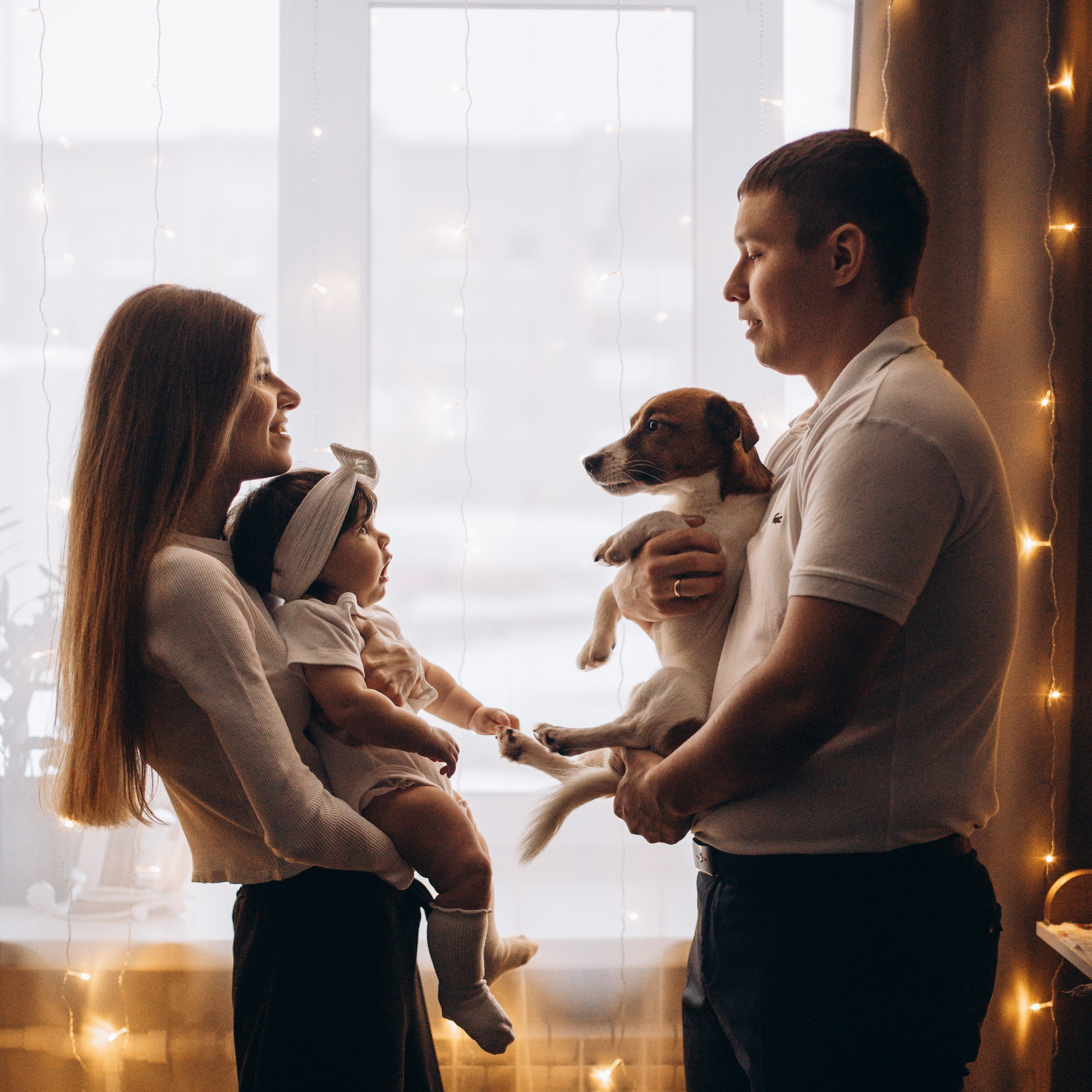 Отзывы. Фотограф — Анималист | Санкт-Петербург