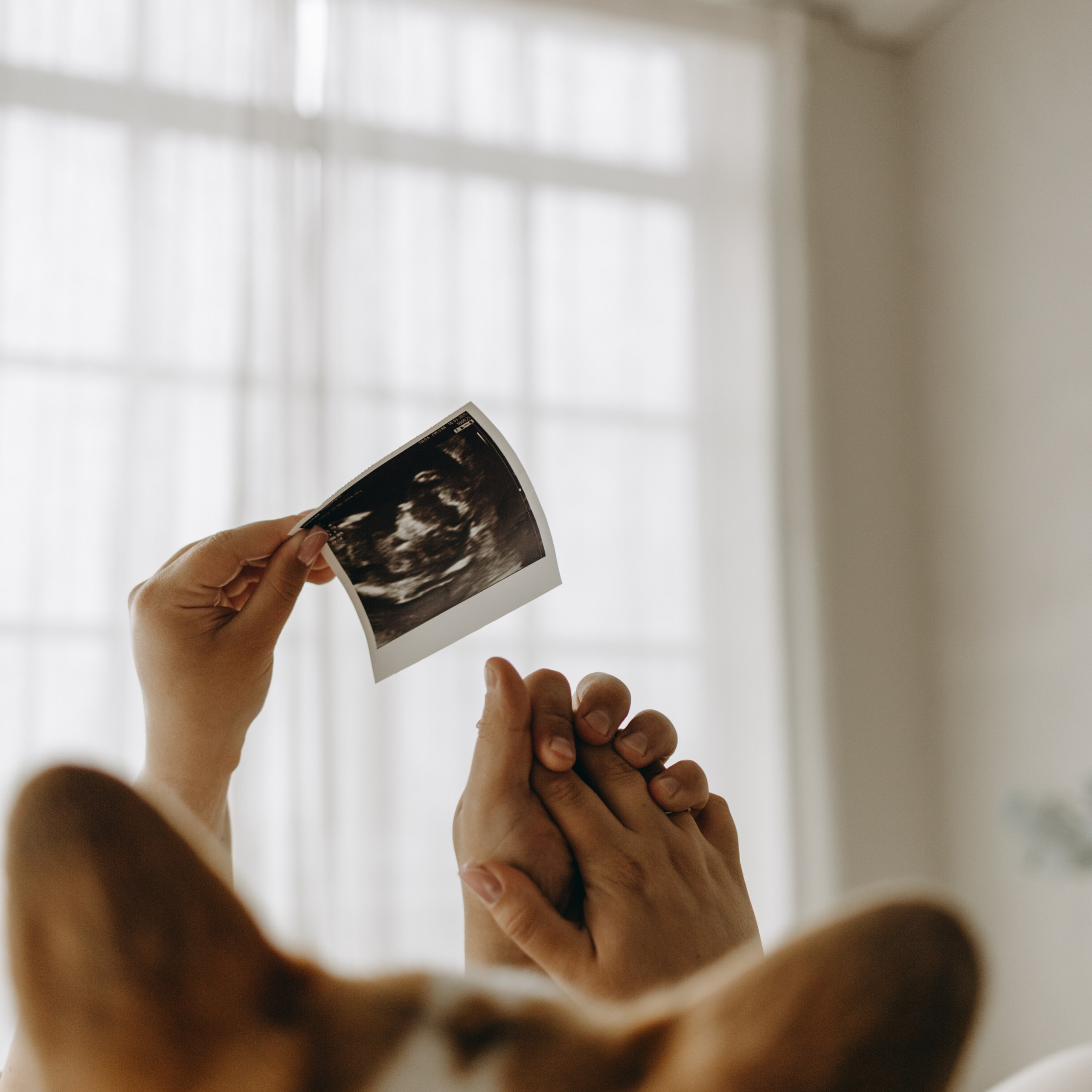 Отзывы. Фотограф — Анималист | Санкт-Петербург