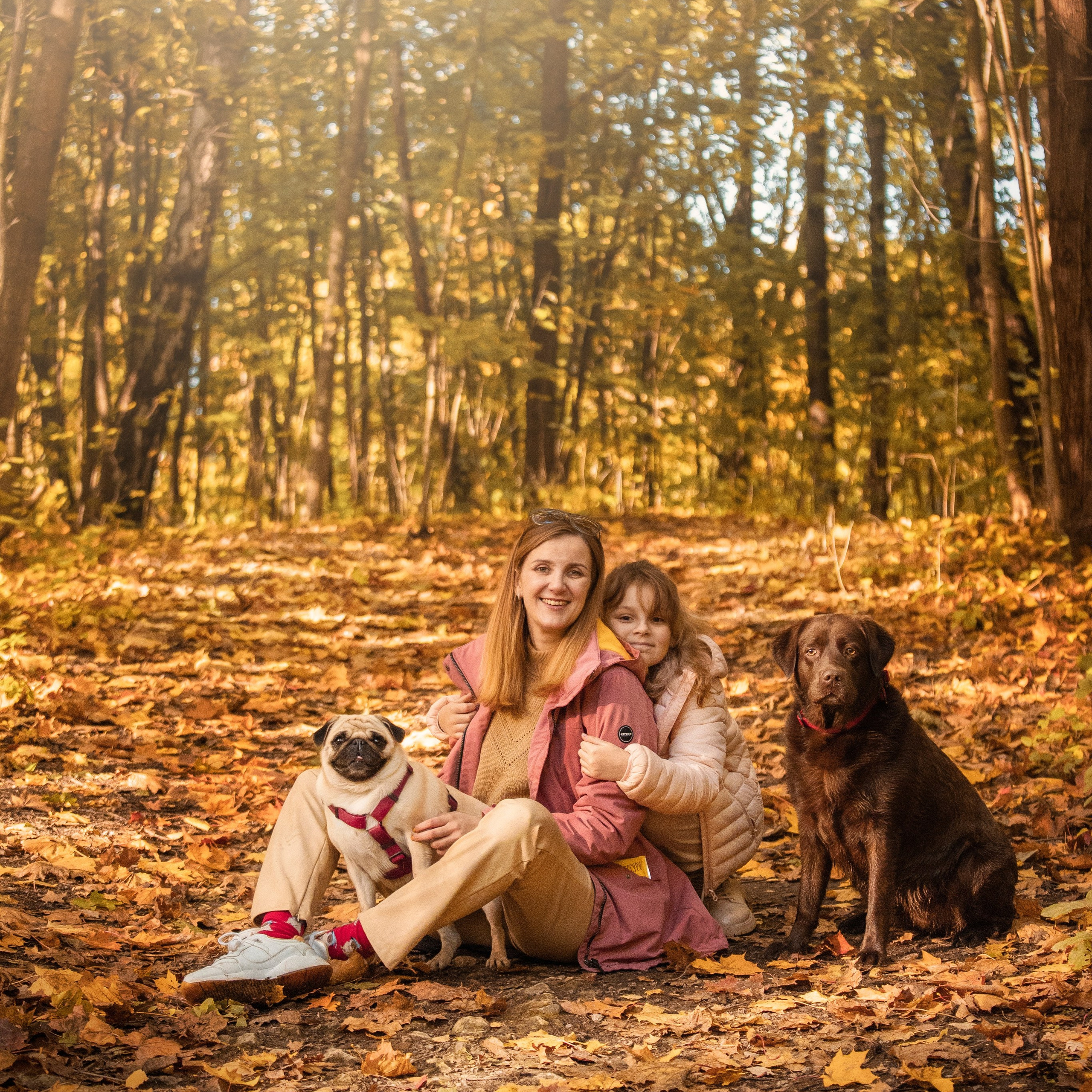 Отзывы. Фотограф — Анималист | Санкт-Петербург