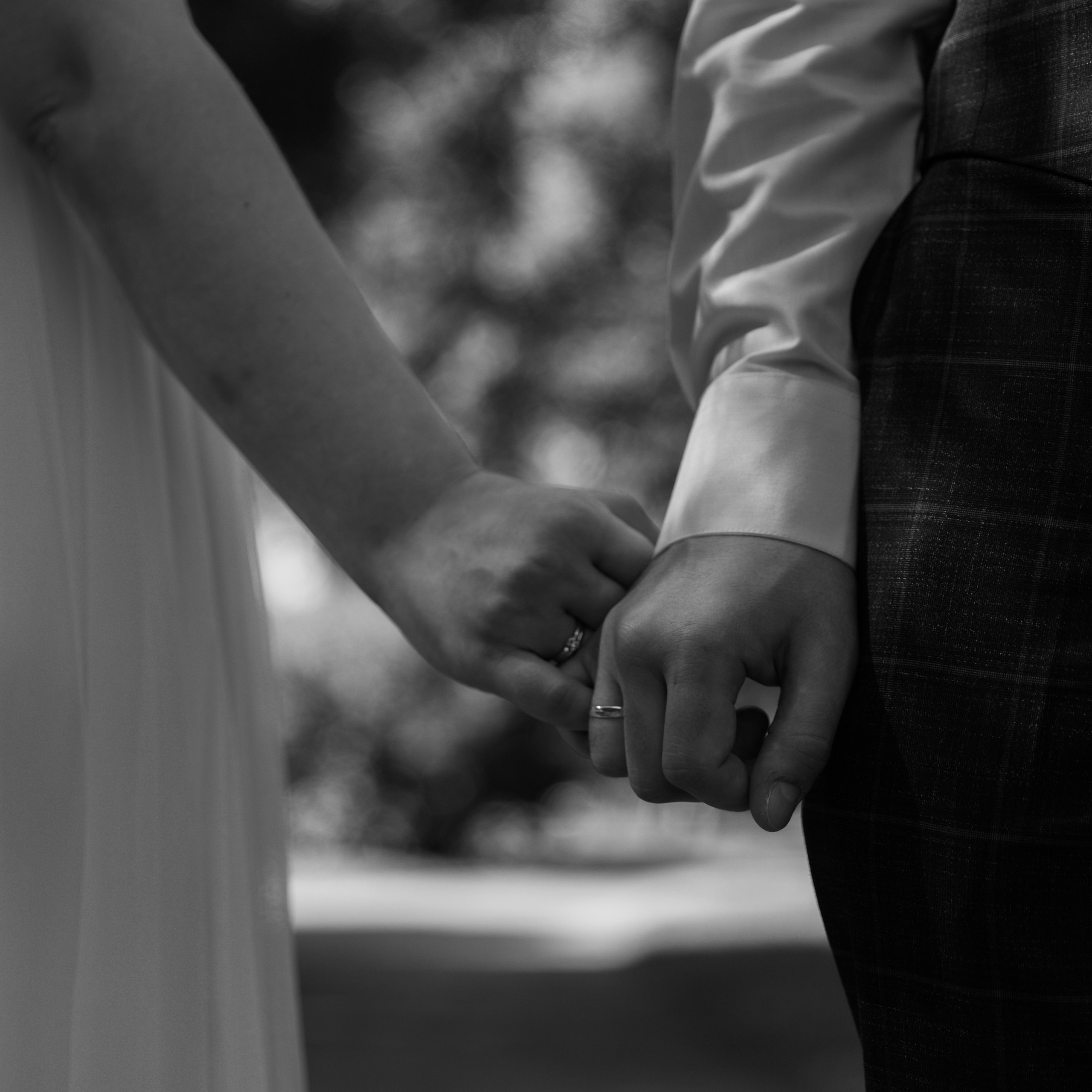 Отзывы. Фотограф — Анималист | Санкт-Петербург