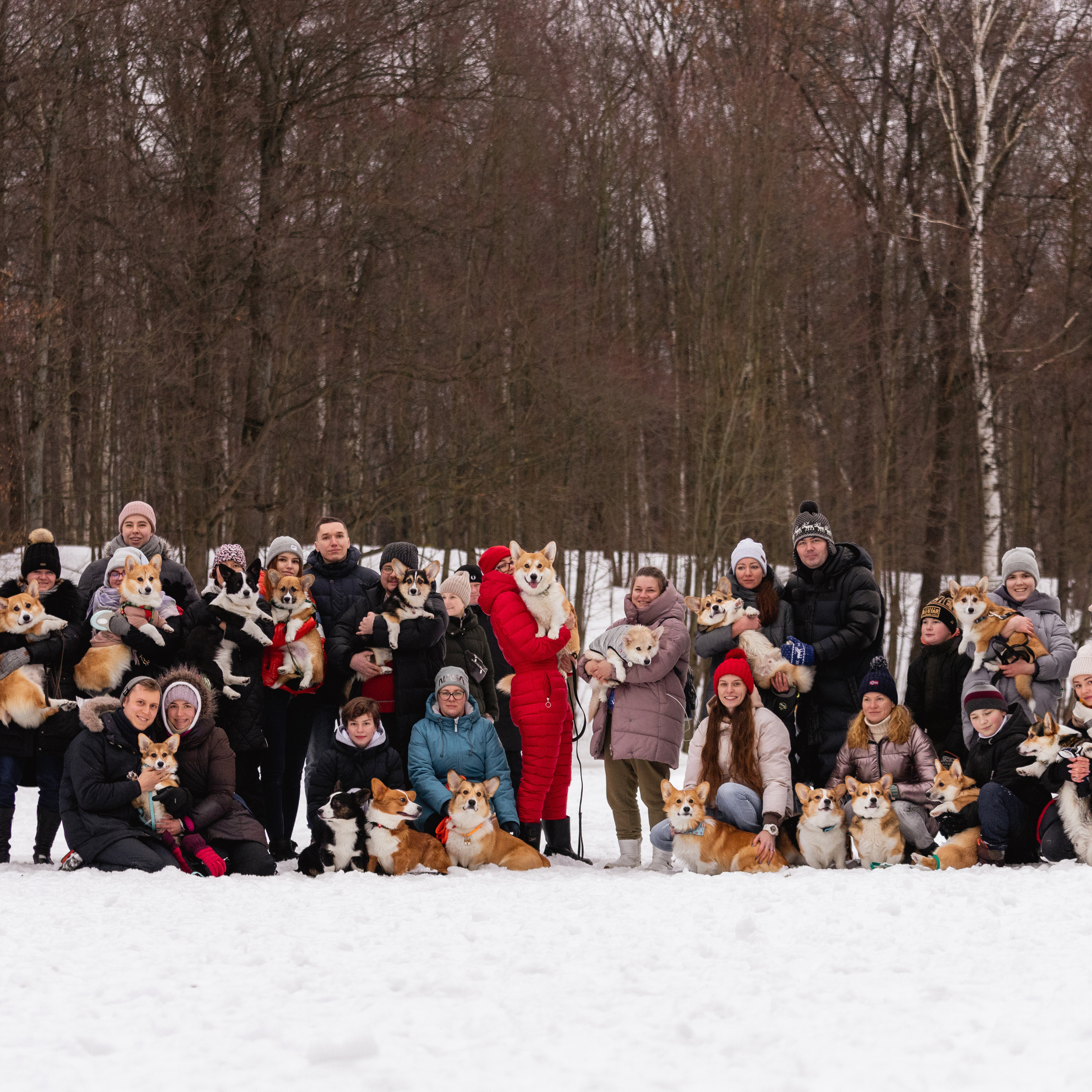 Отзывы. Фотограф — Анималист | Санкт-Петербург