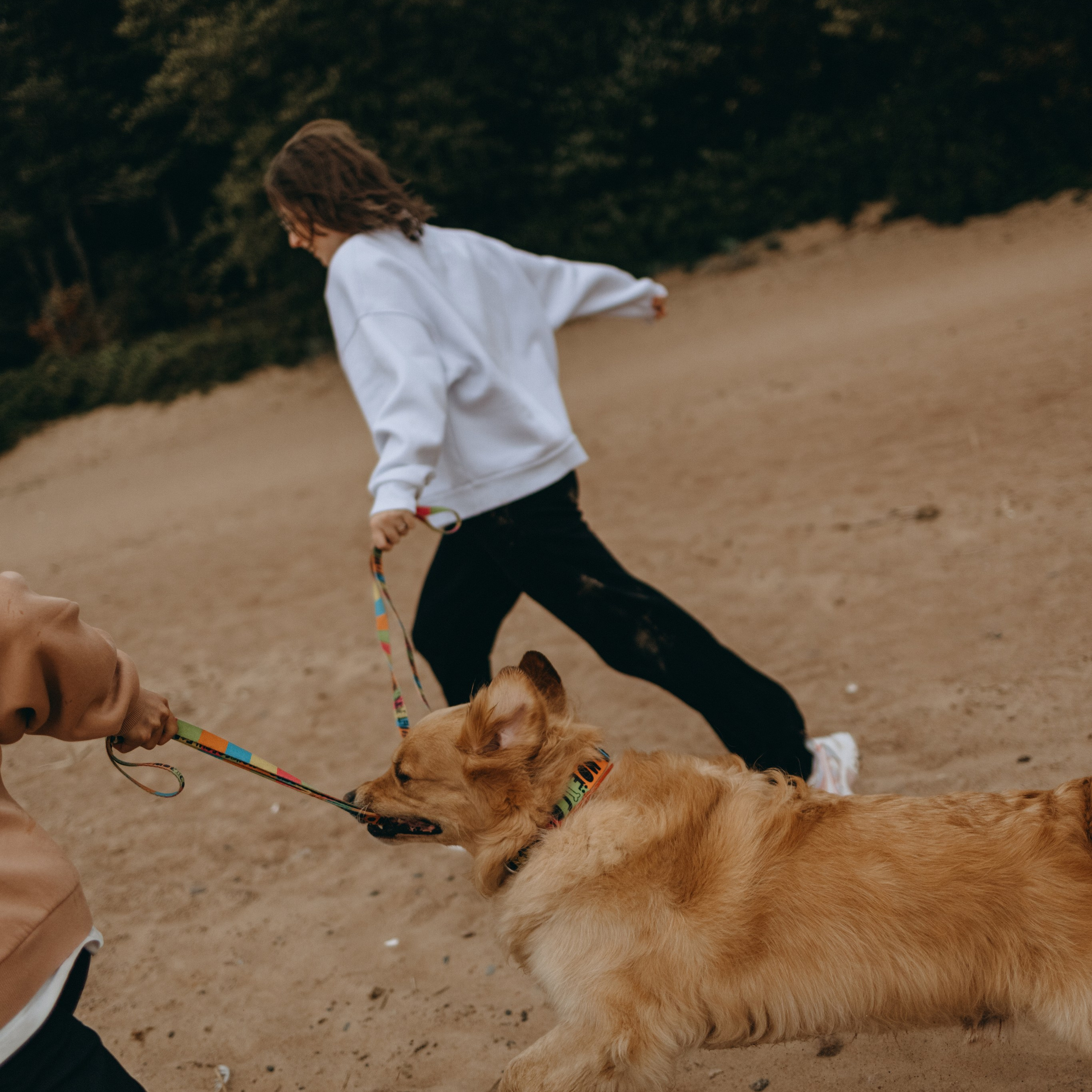 Фоси и его семьи