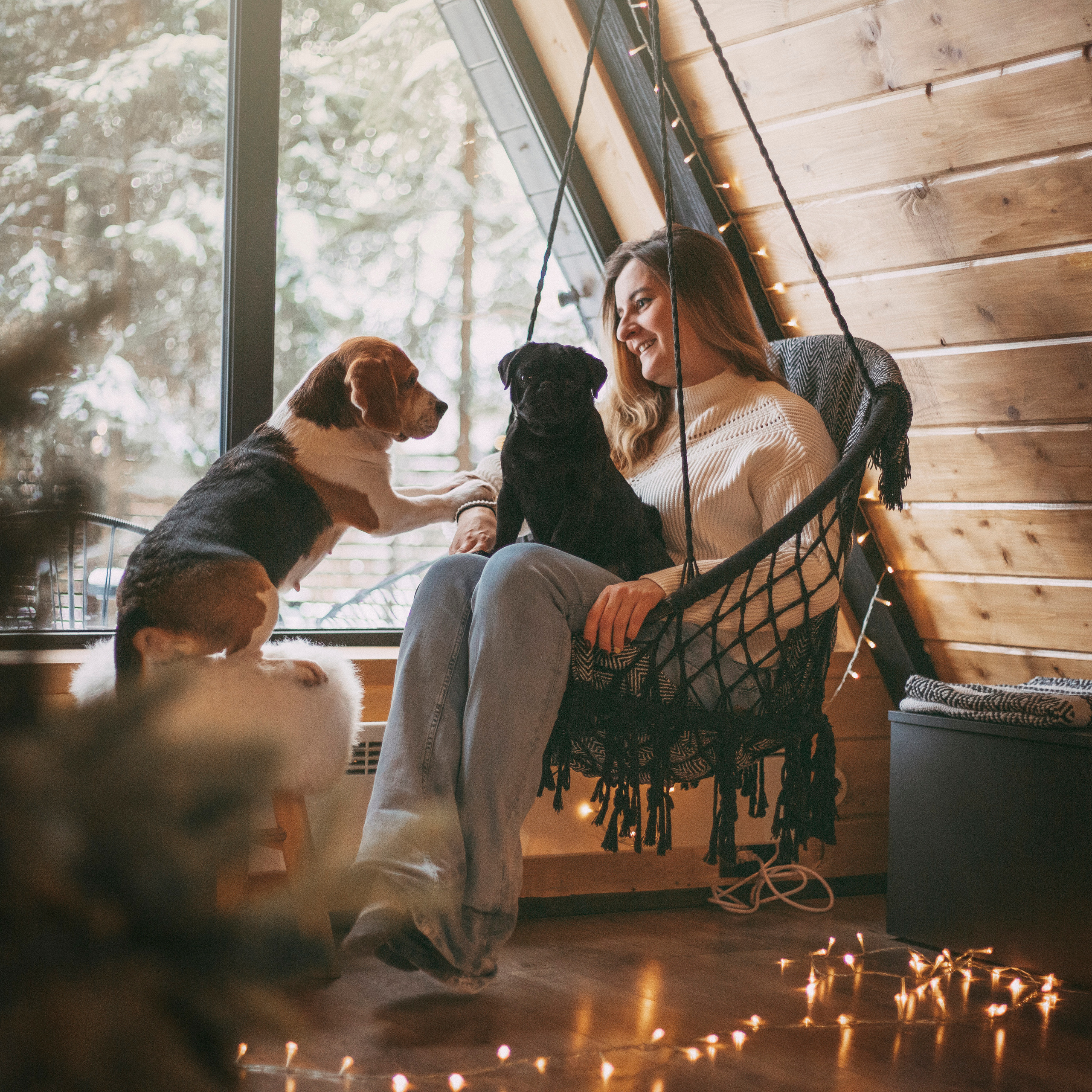 Отзывы. Фотограф — Анималист | Санкт-Петербург