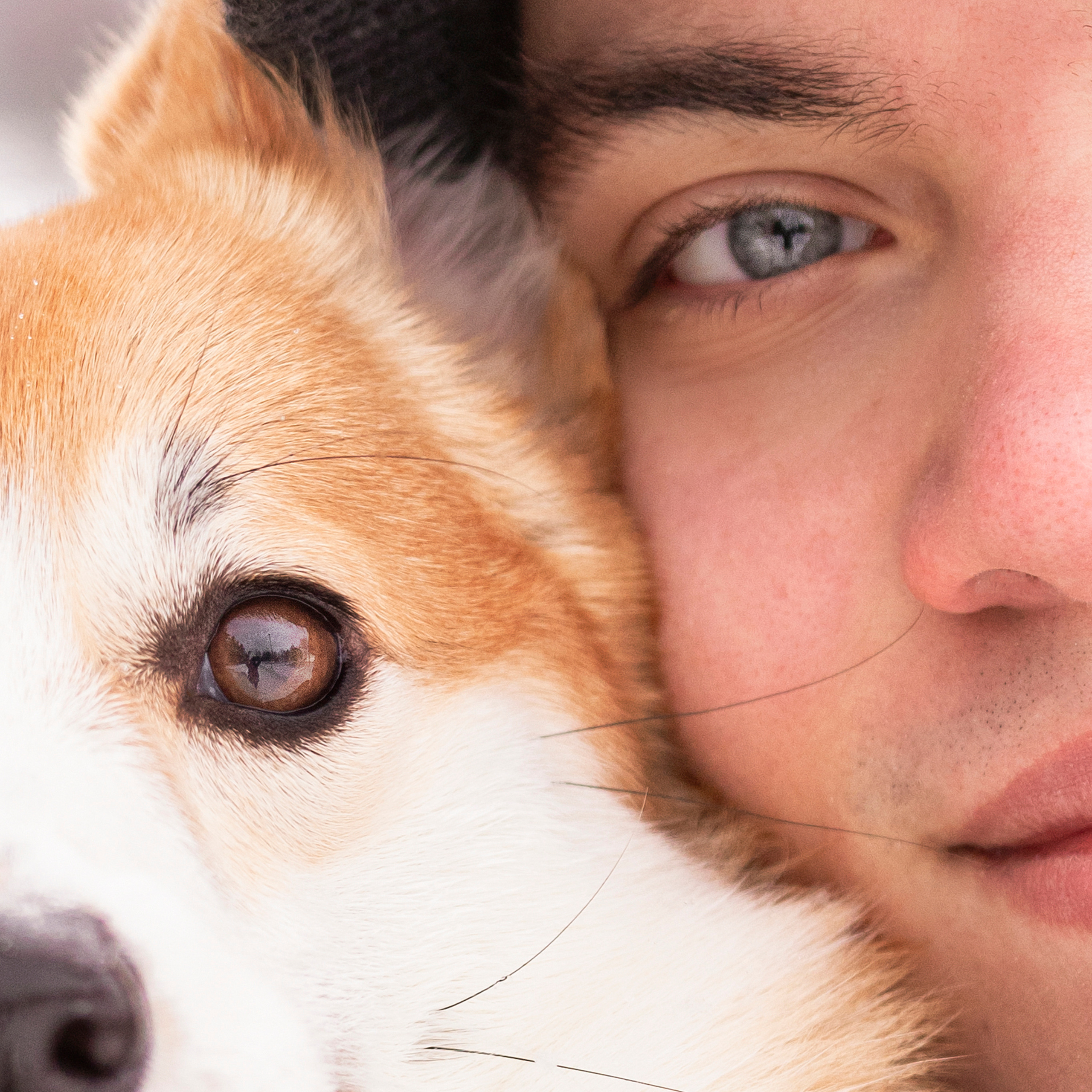 Отзывы. Фотограф — Анималист | Санкт-Петербург