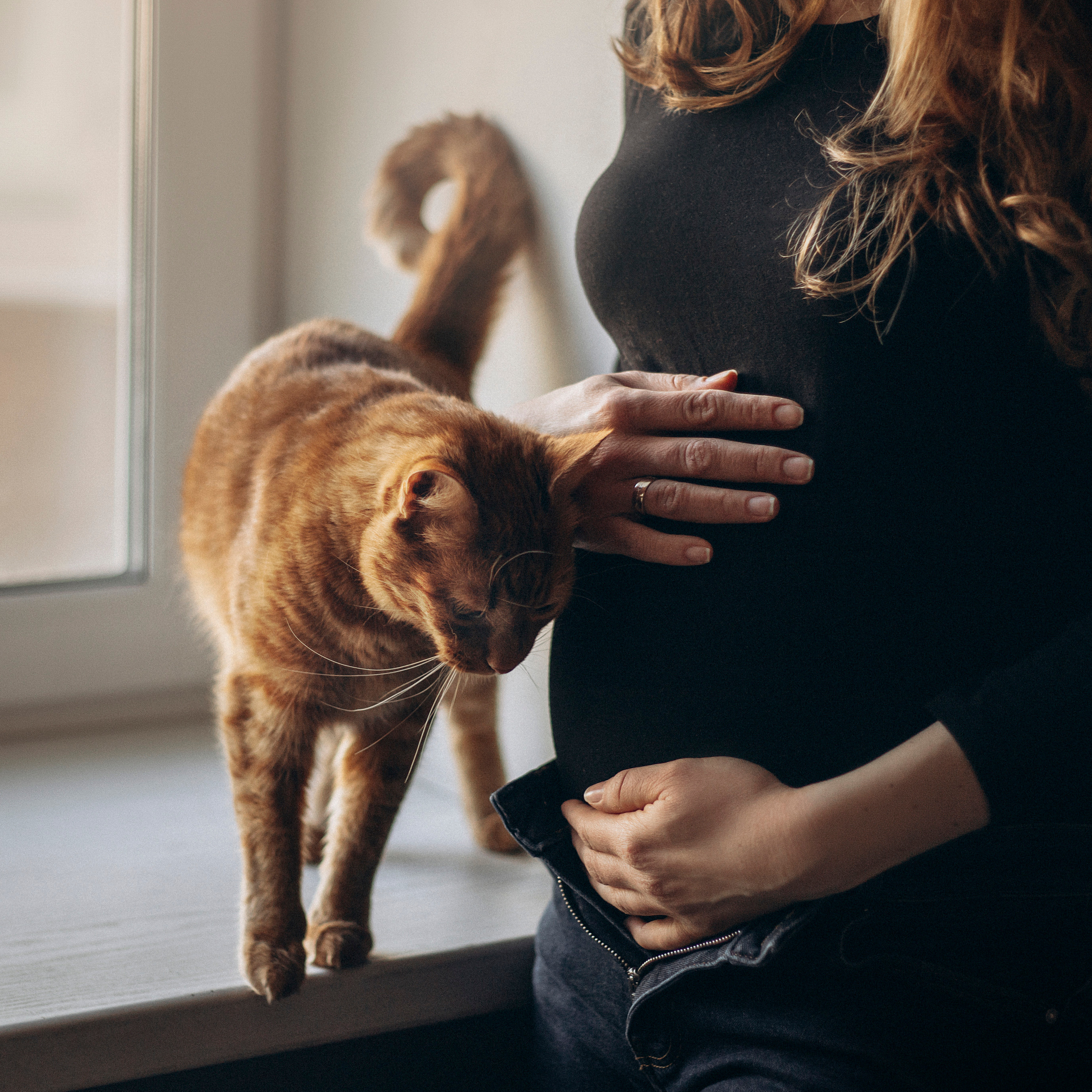 Отзывы. Фотограф — Анималист | Санкт-Петербург