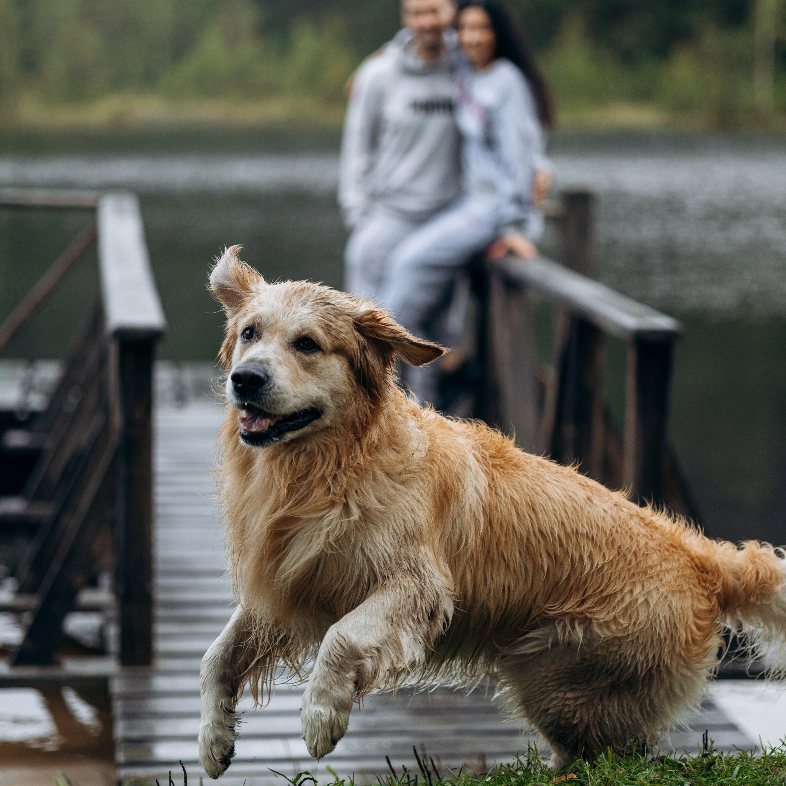 Лёва и его семья