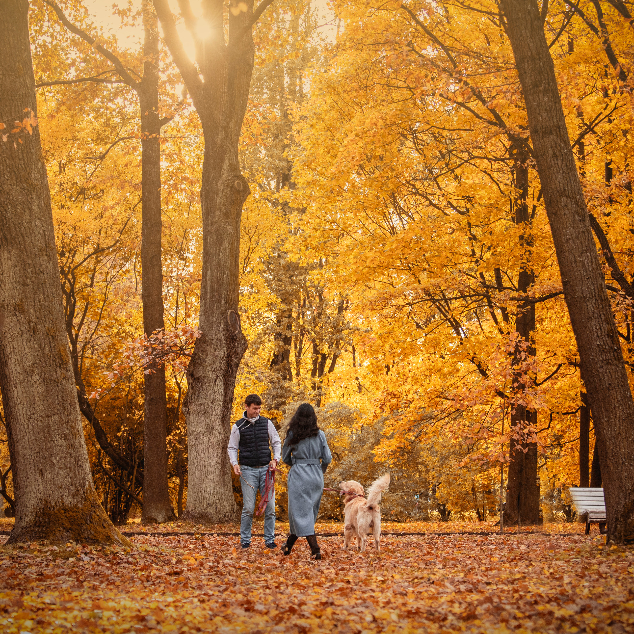 Лёвушка и его семья