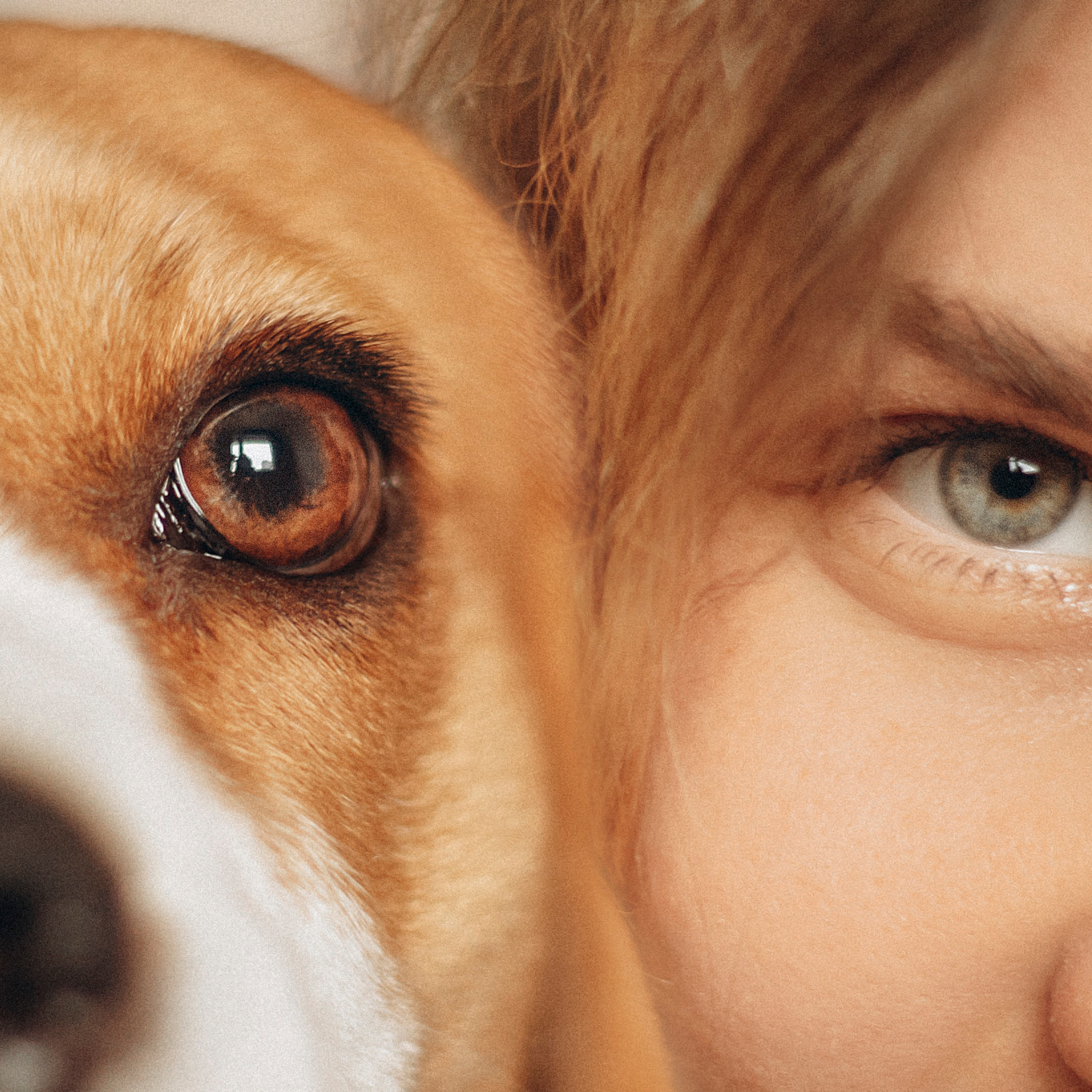 Отзывы. Фотограф — Анималист | Санкт-Петербург