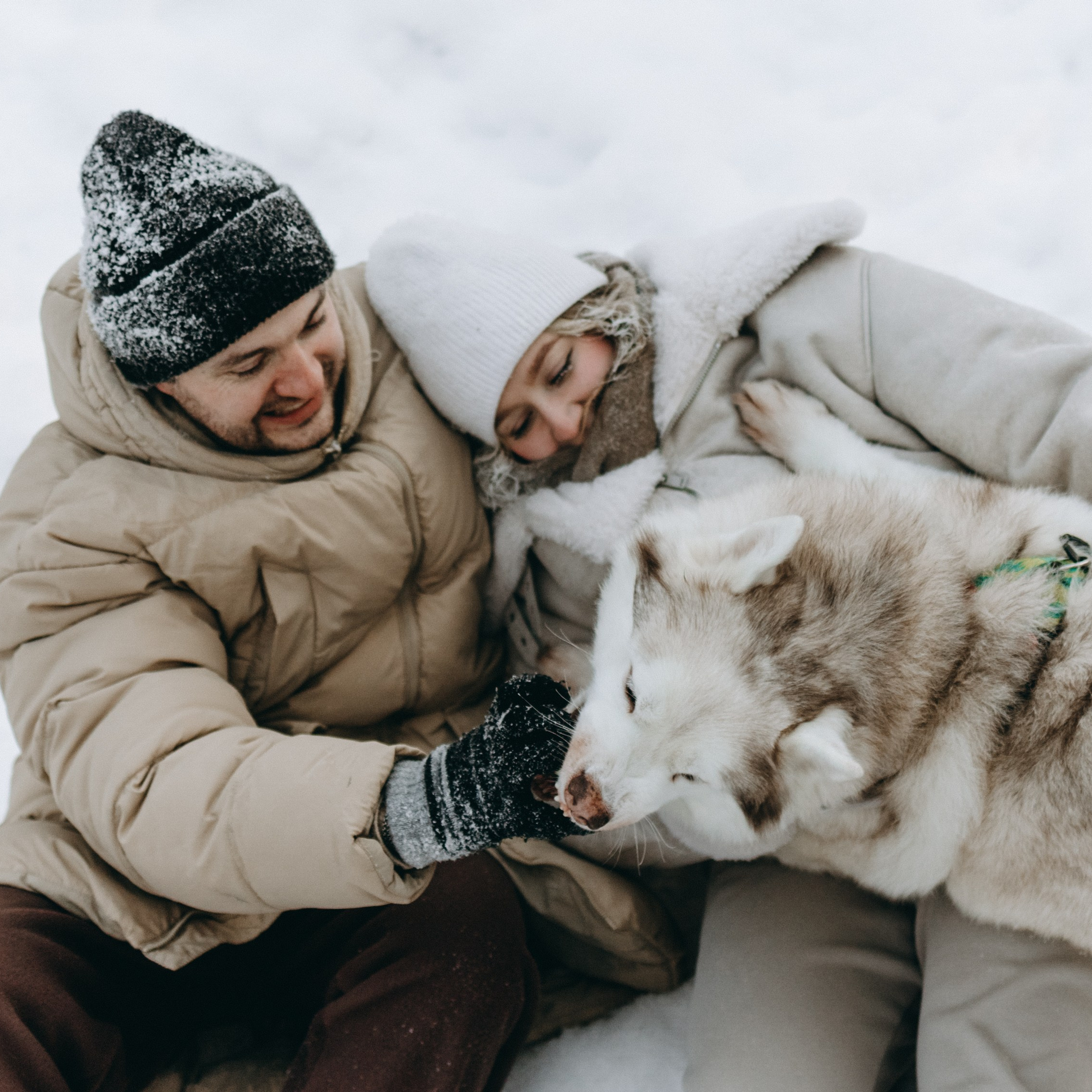 Айс и его семья