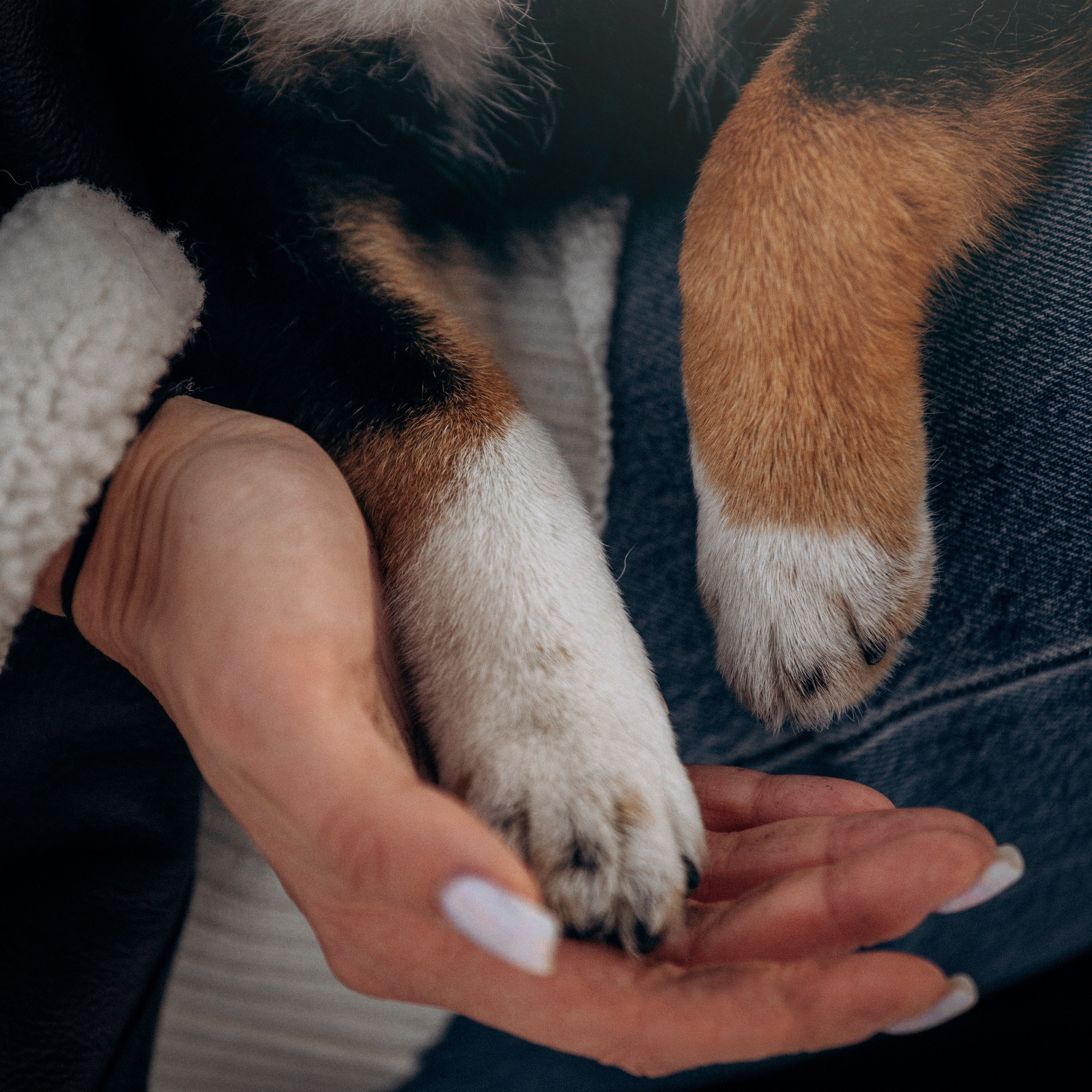 Дарья и Мики