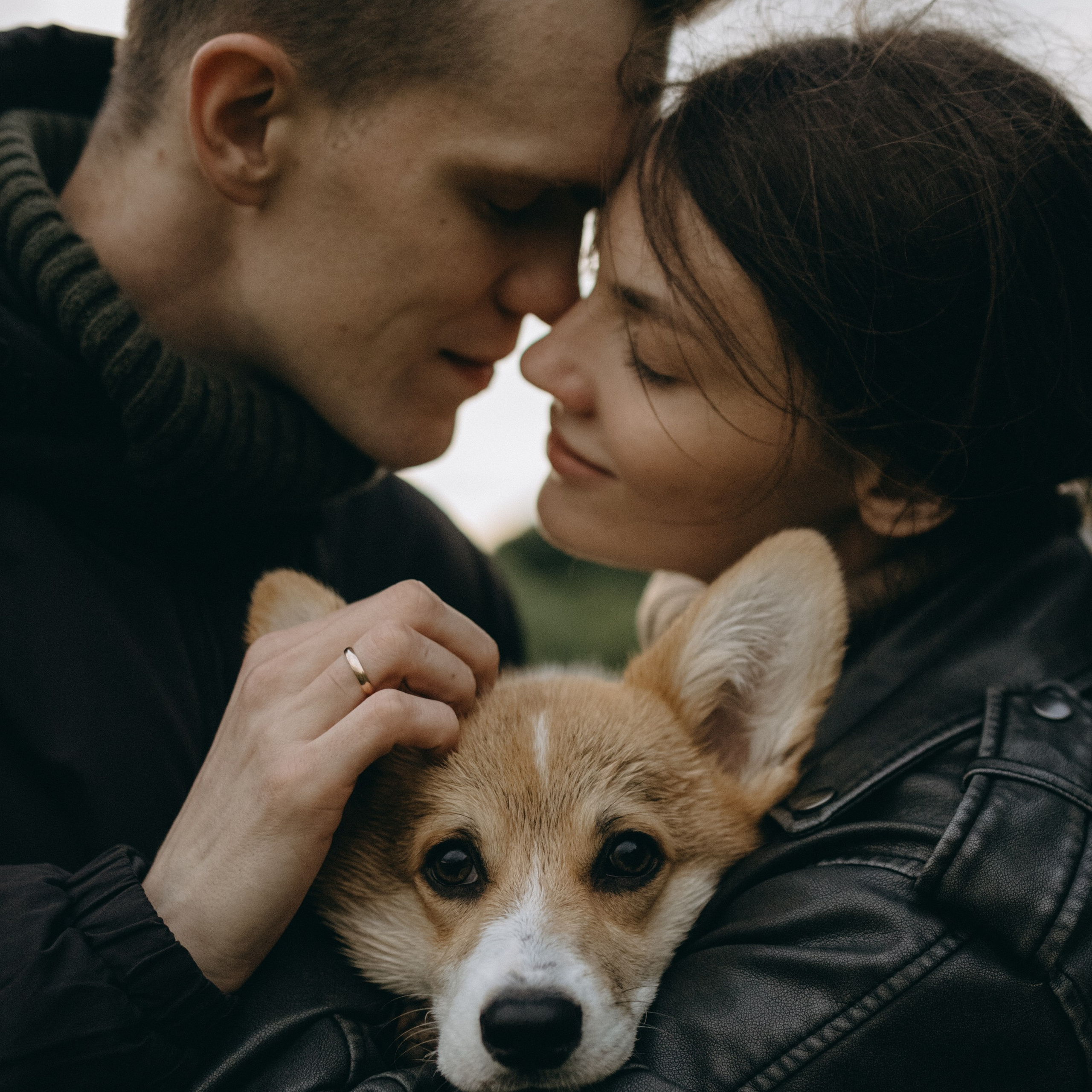 Отзывы. Фотограф — Анималист | Санкт-Петербург