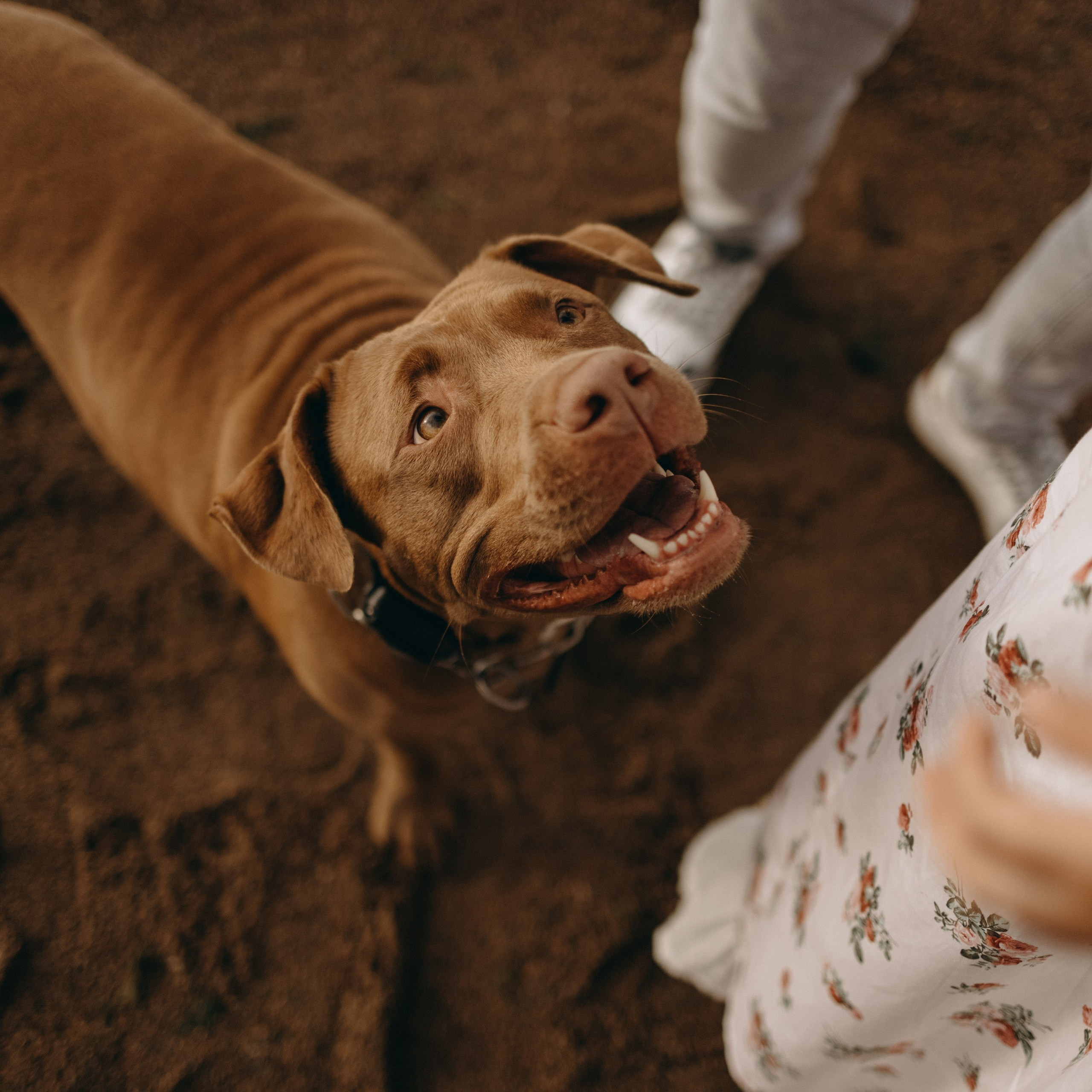 Бонни и ее семья