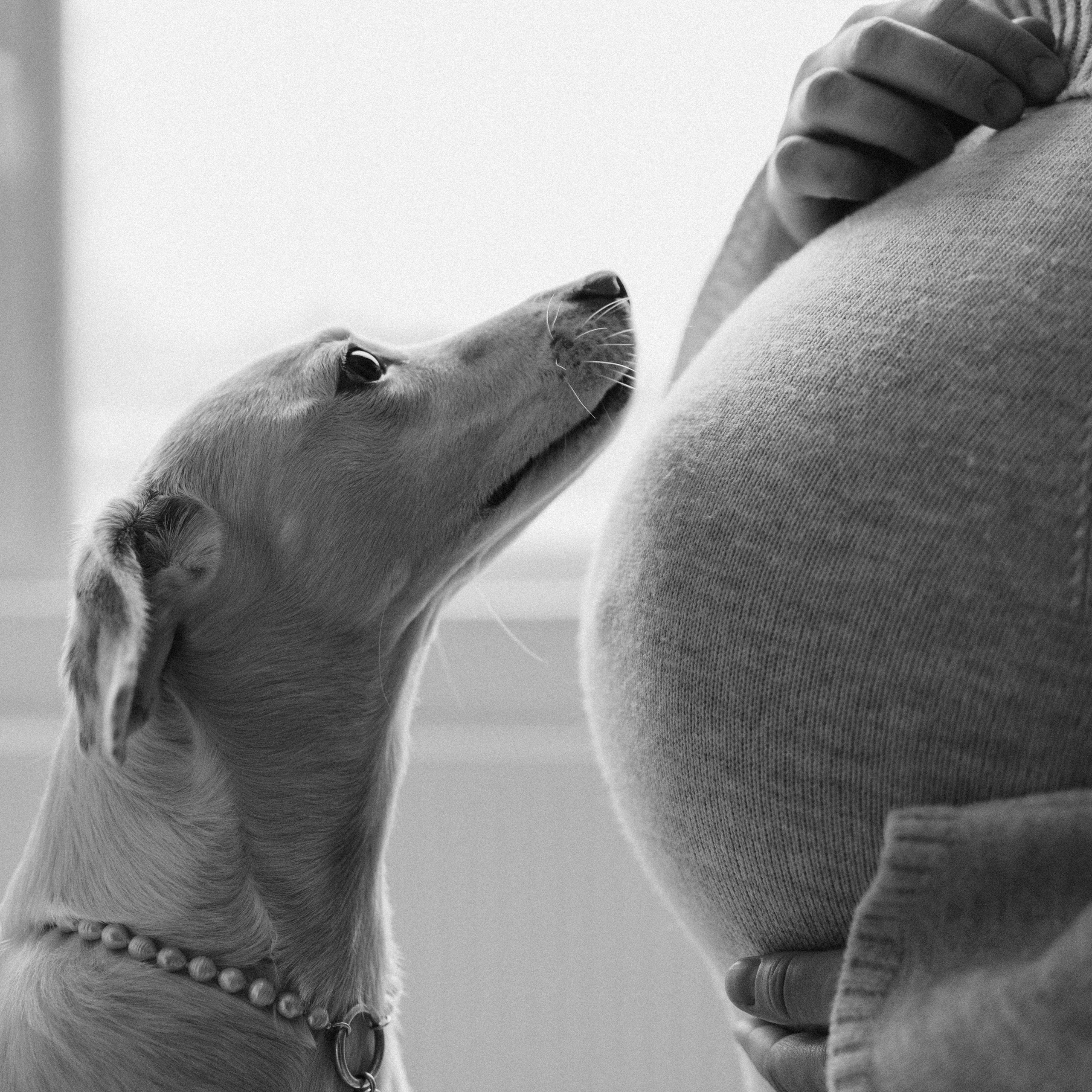 Луна и&nbsp;ее&nbsp;семья