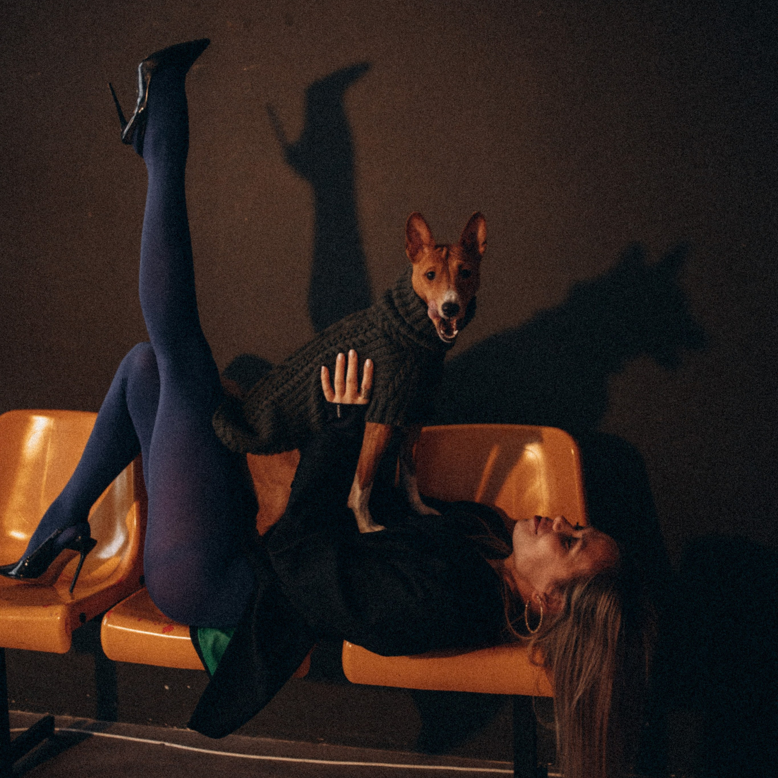 Отзывы. Фотограф — Анималист | Санкт-Петербург