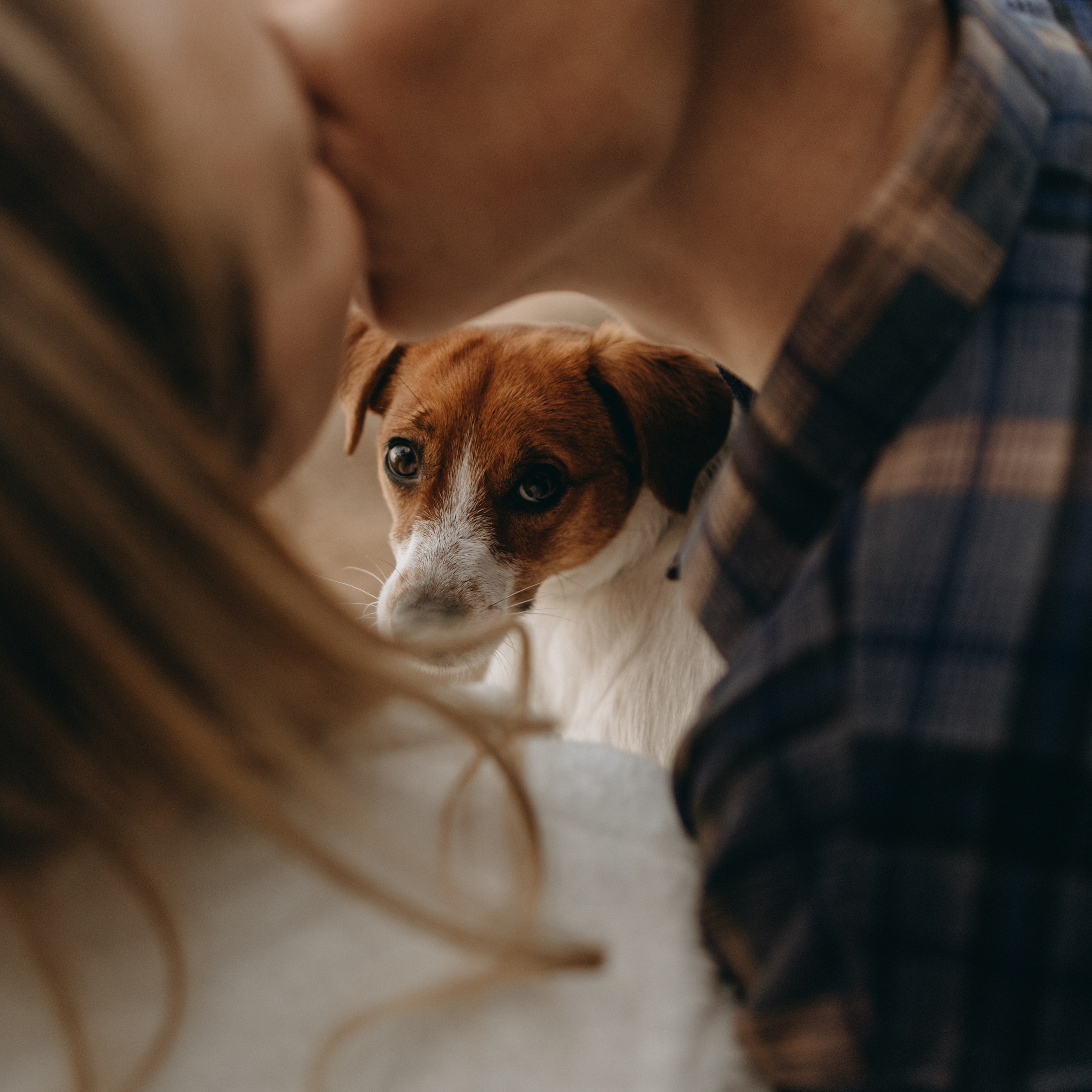 Лея и ее семья