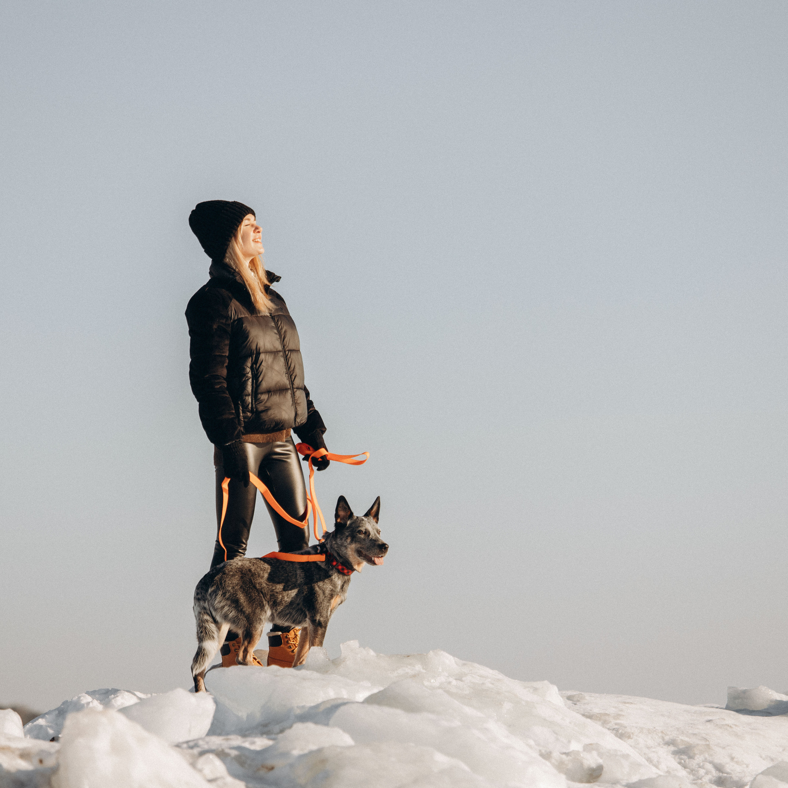 Отзывы. Фотограф — Анималист | Санкт-Петербург