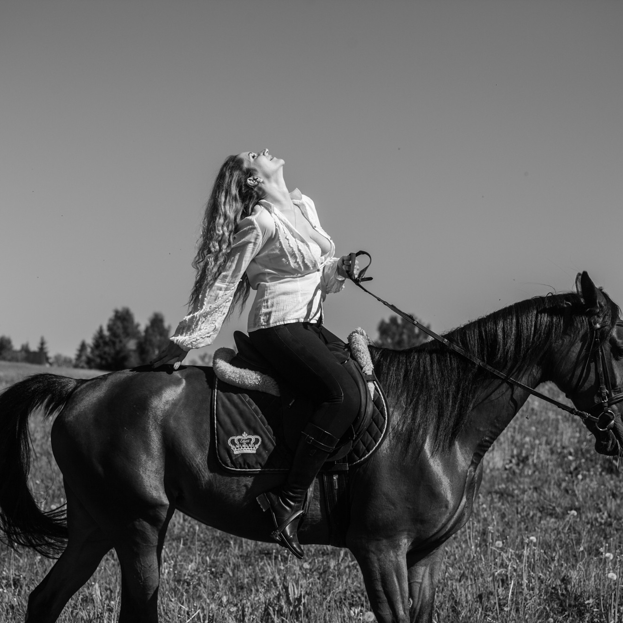 Лошадки и Ася