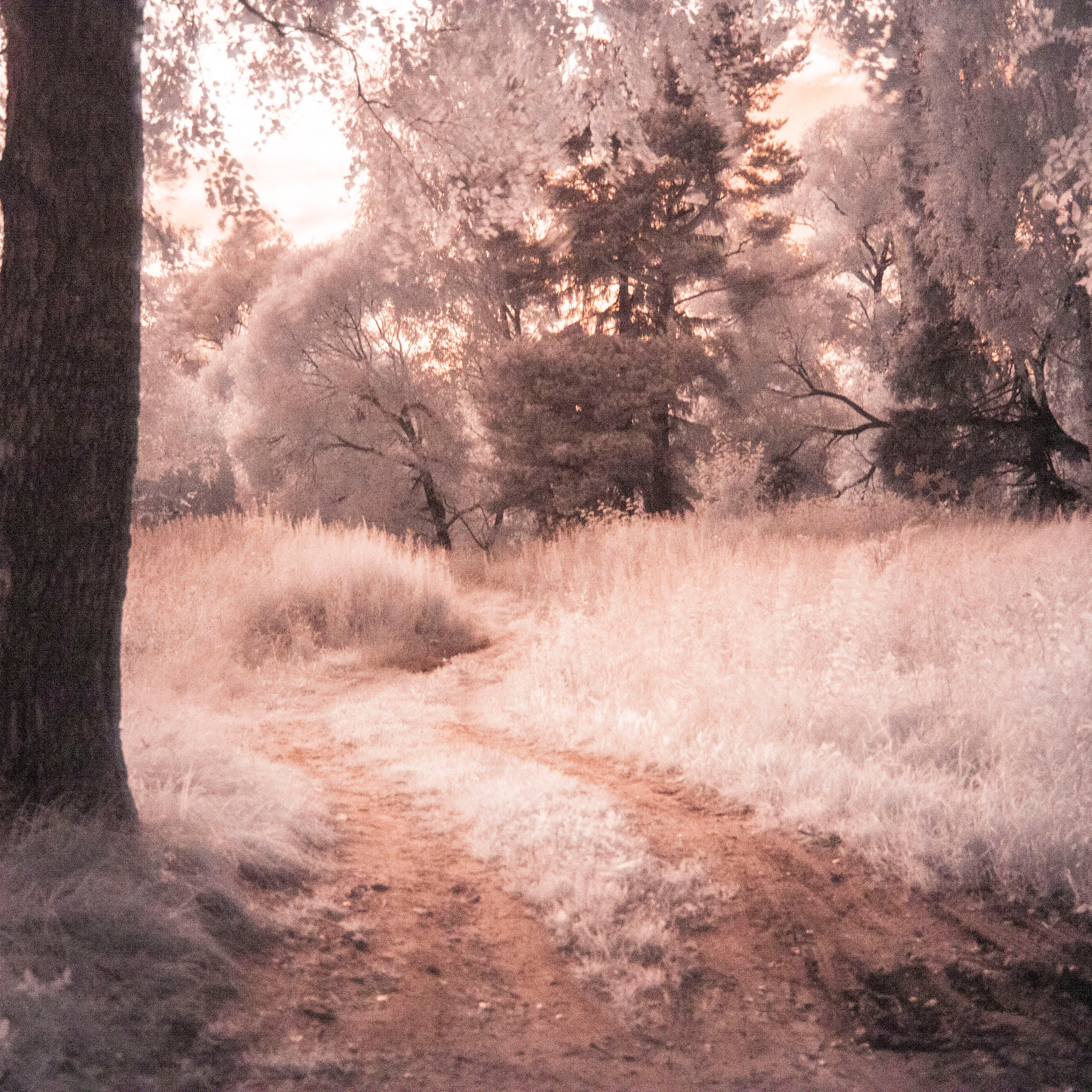 Инфракрасное